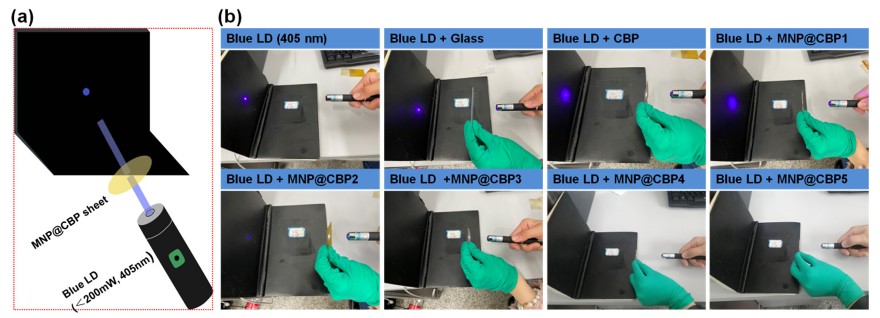 Polymers 13 02433 g009