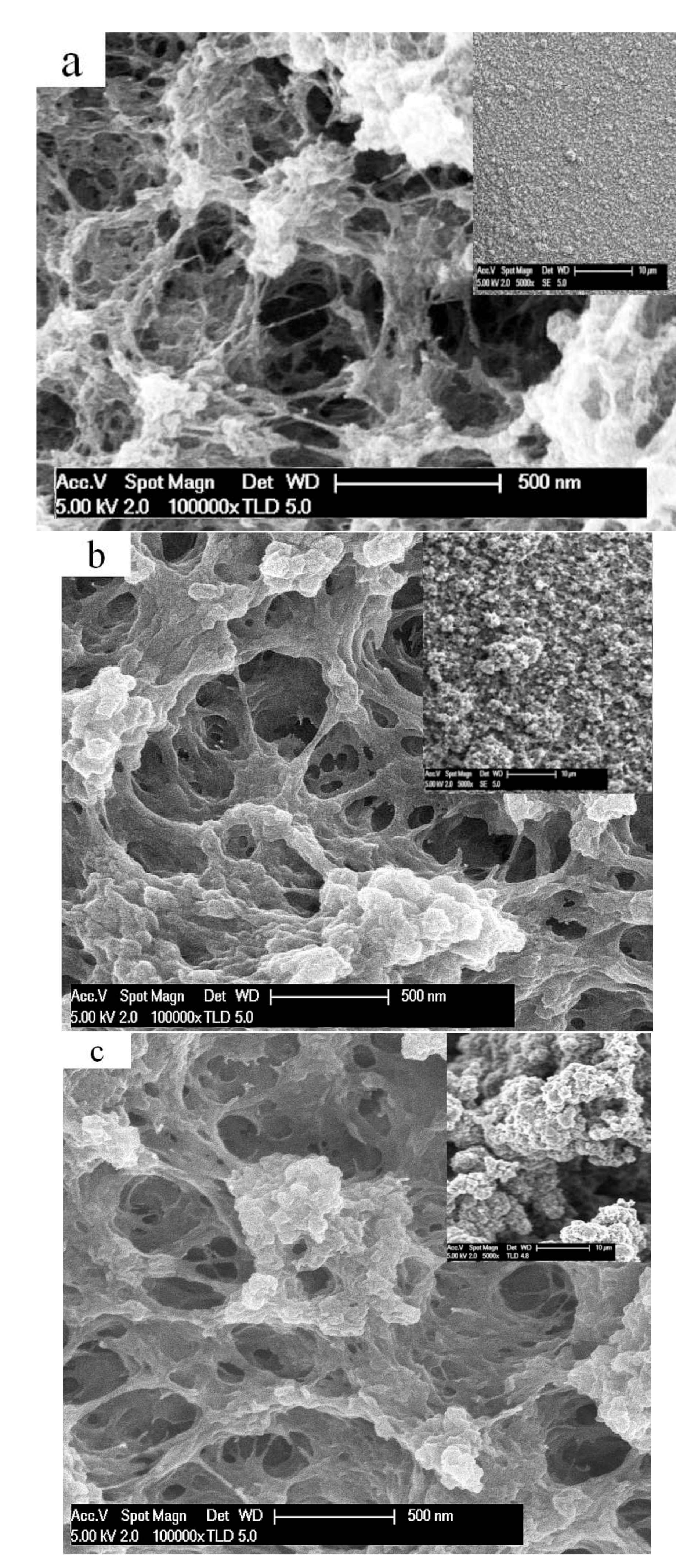 Polymers 13 02448 g001