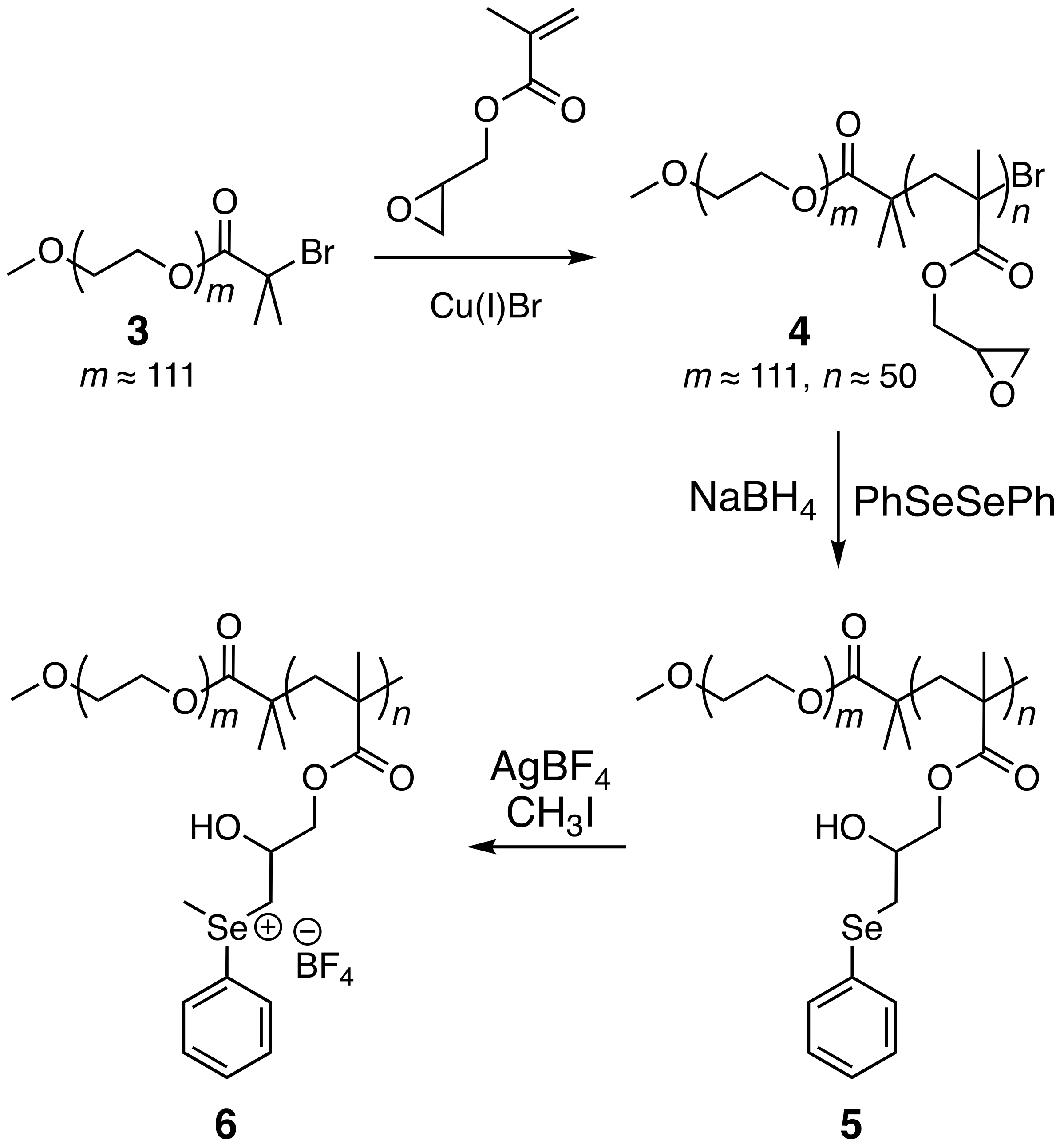 Polymers 13 02456 sch002