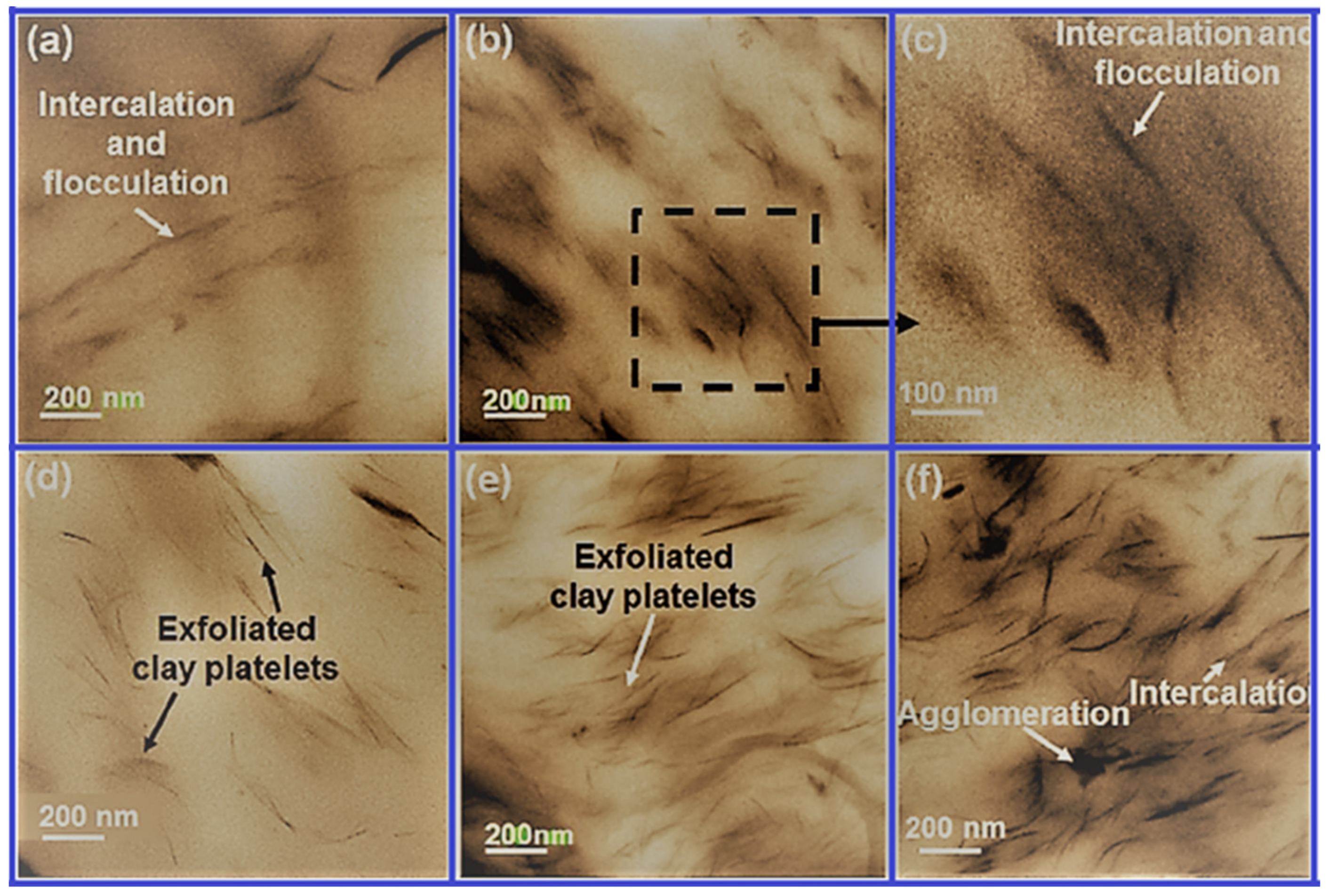 Polymers 13 02467 g003
