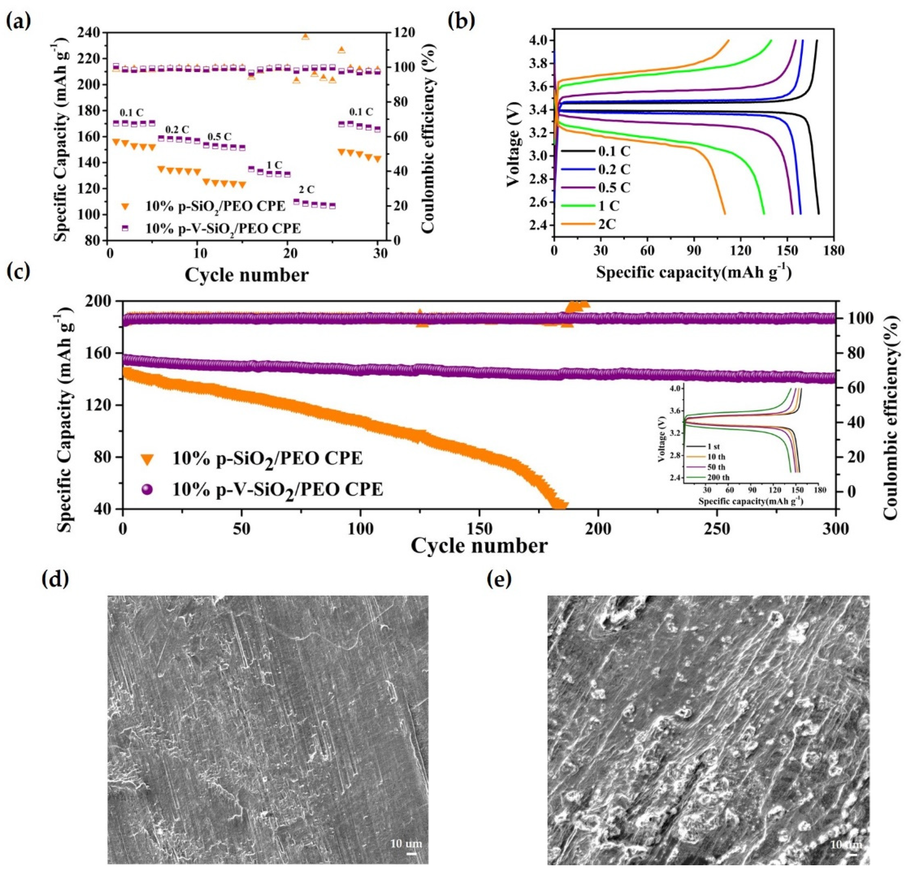 Polymers 13 02468 g006