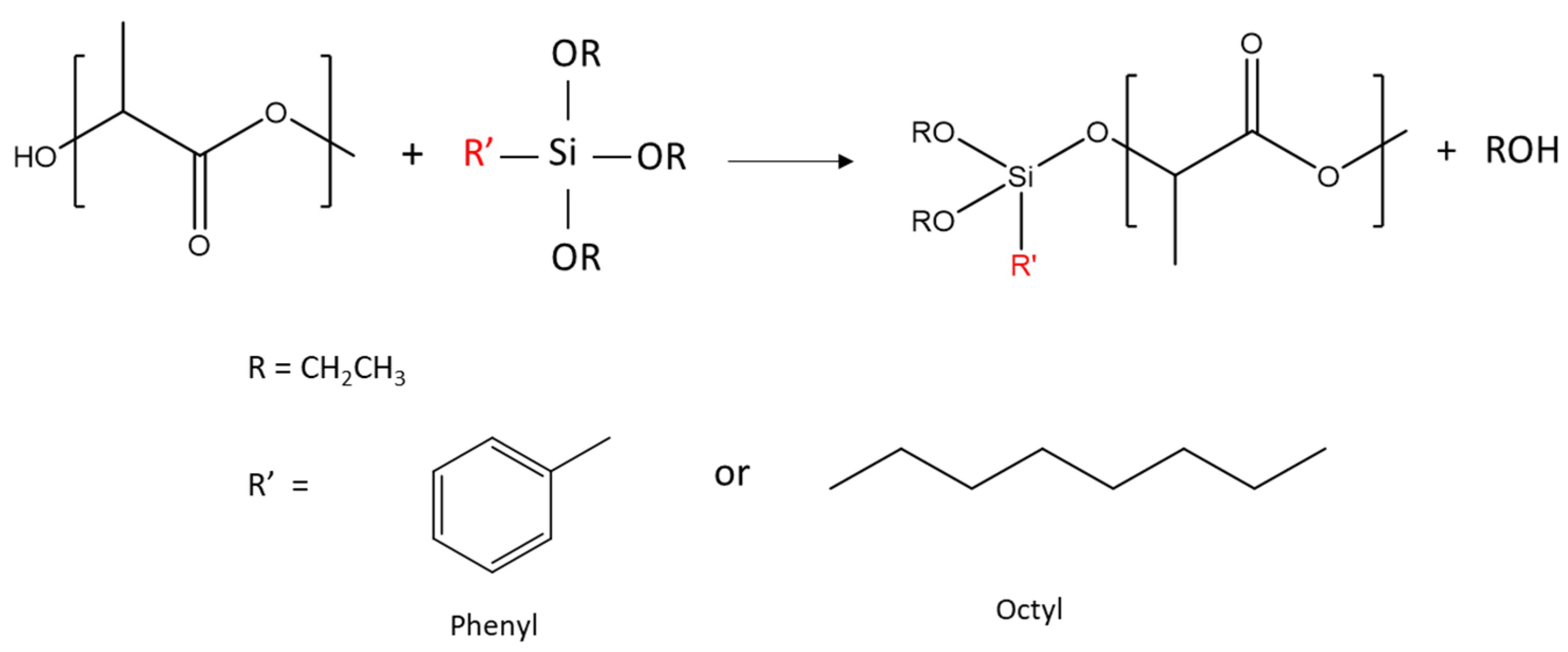 Polymers 13 02475 g001