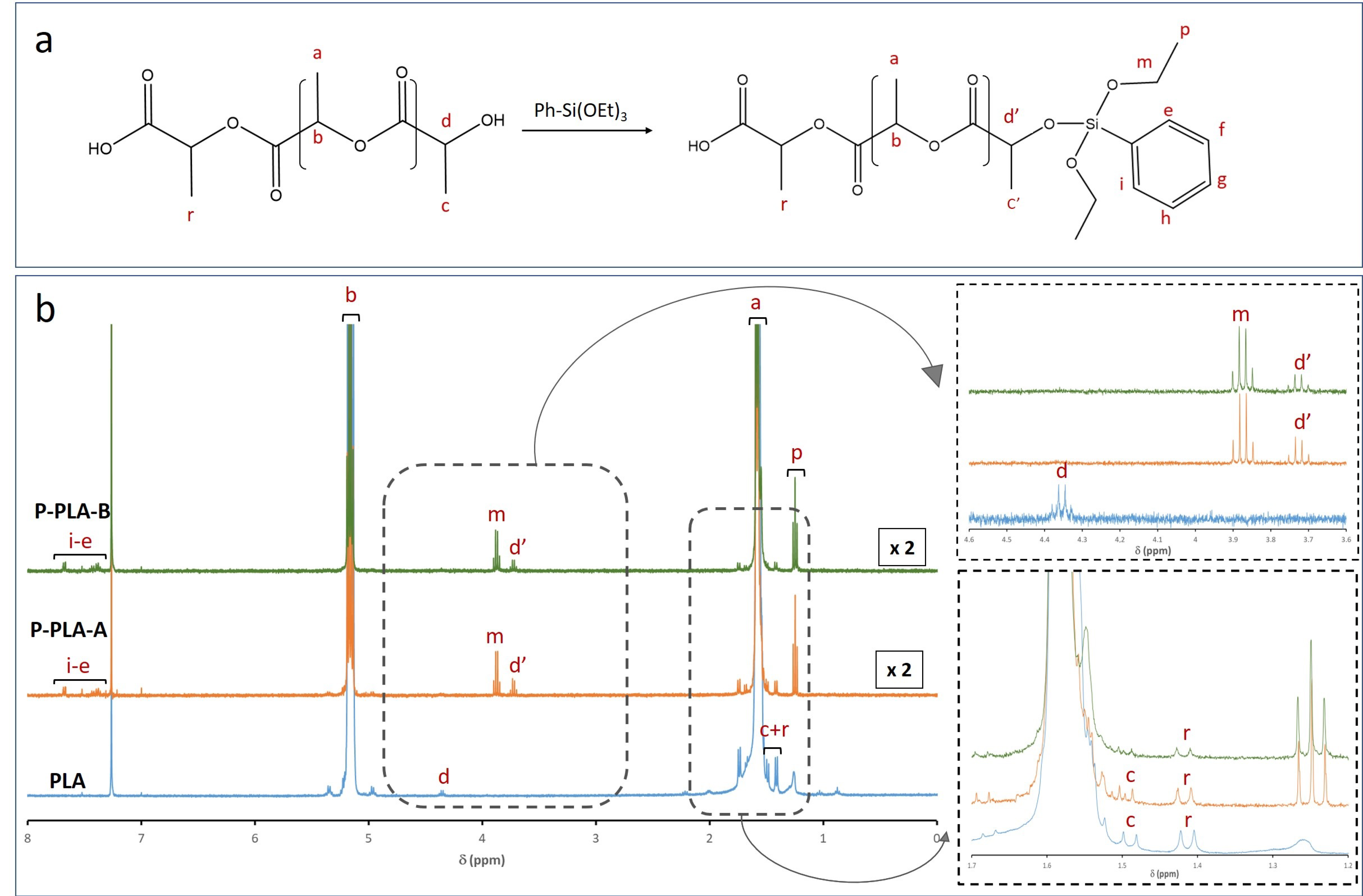 Polymers 13 02475 g003