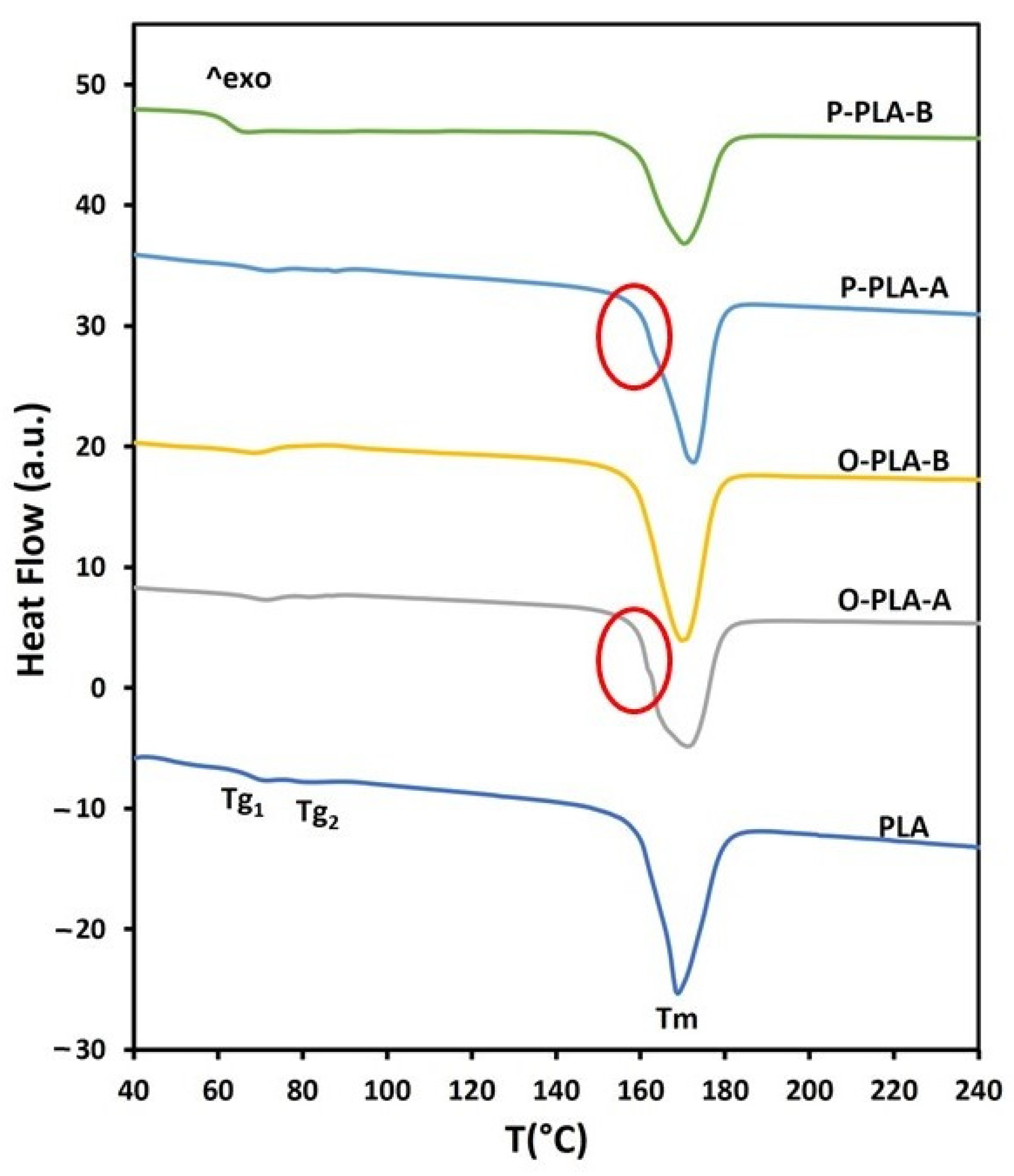 Polymers 13 02475 g004