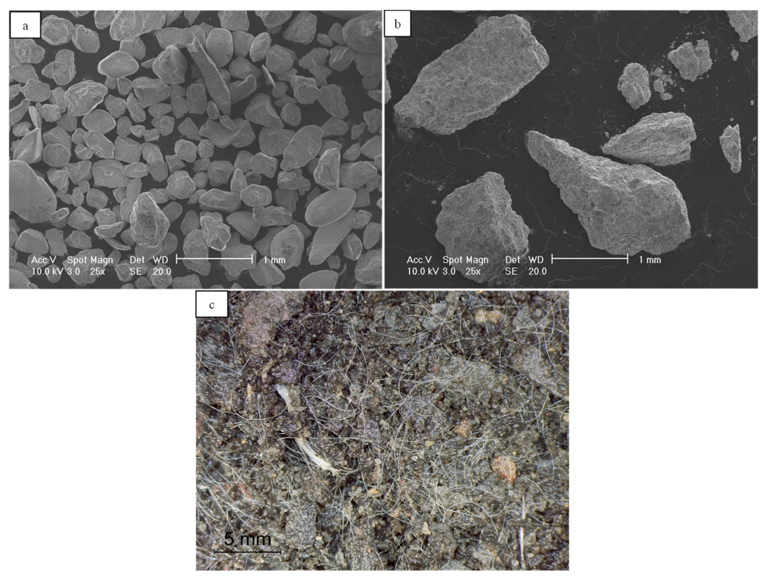 Polymers 13 02476 g002