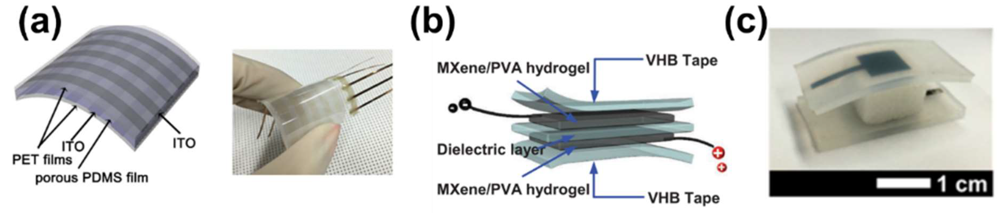 Polymers 13 02478 g002 Polymers 13 02478 g002