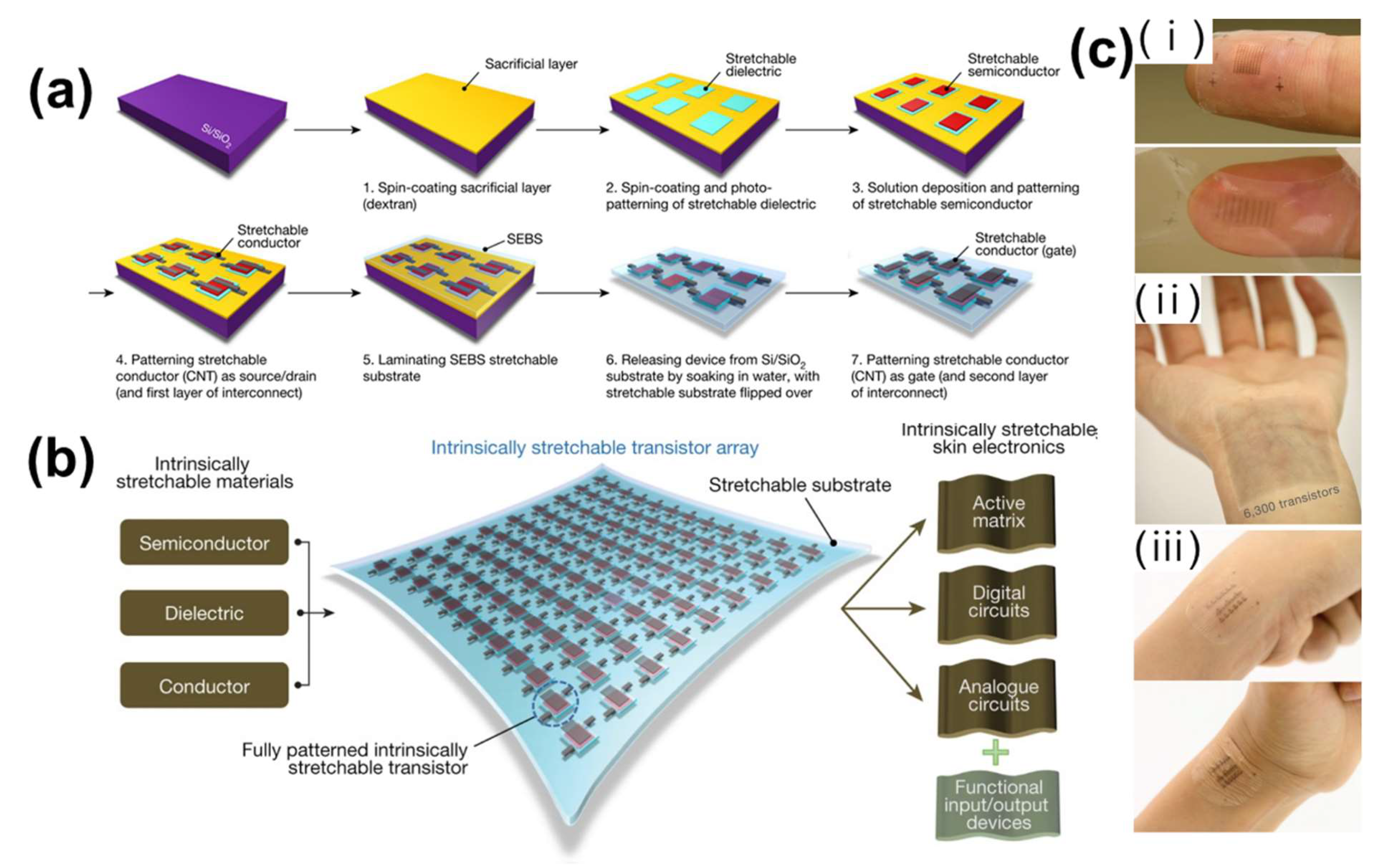 Polymers 13 02478 g004 Polymers 13 02478 g004