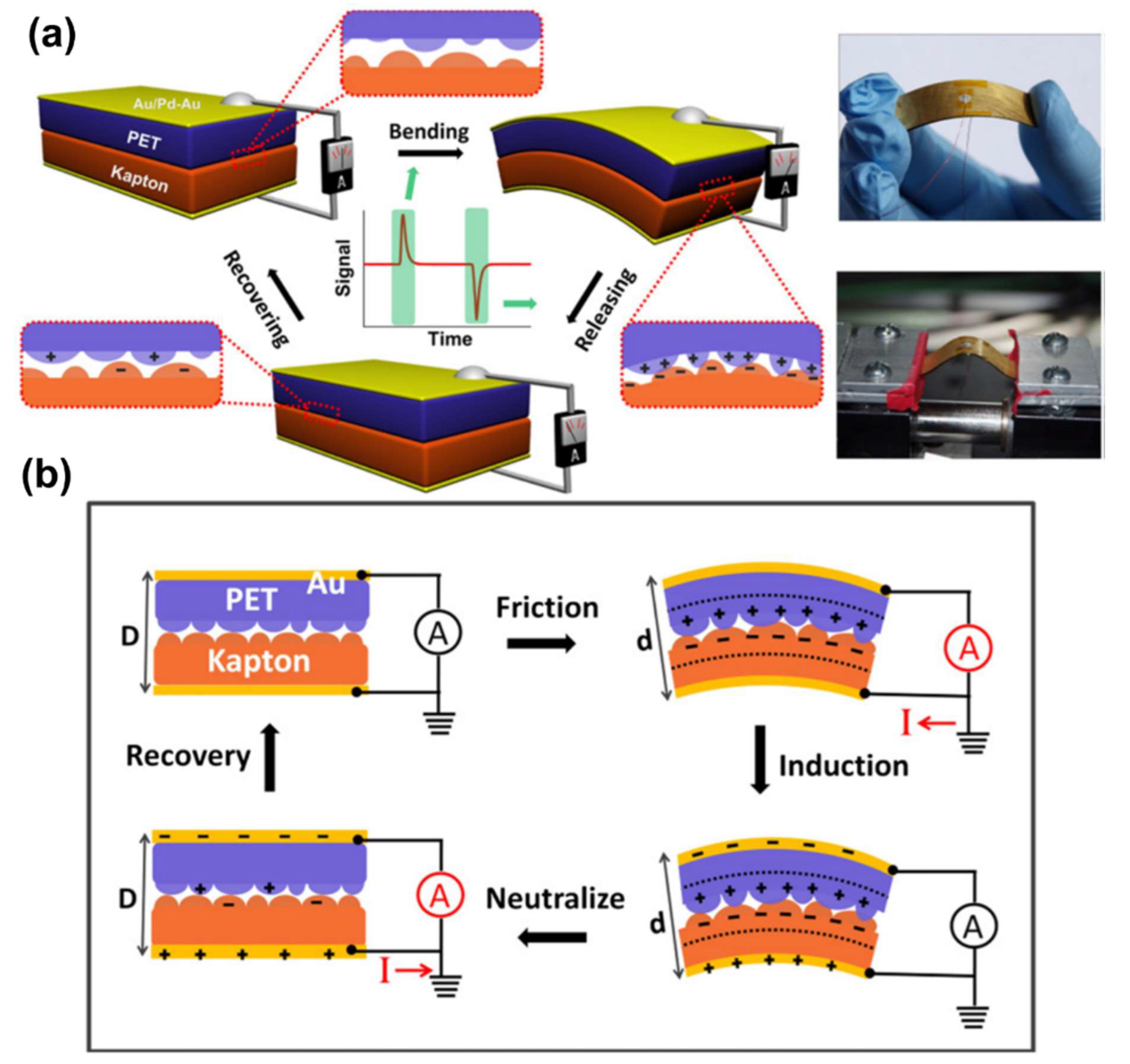 Polymers 13 02478 g011 Polymers 13 02478 g011