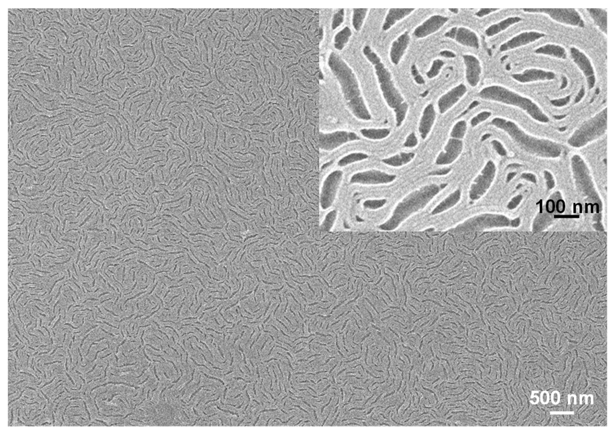 Polymers 13 02480 g002 Polymers 13 02480 g002