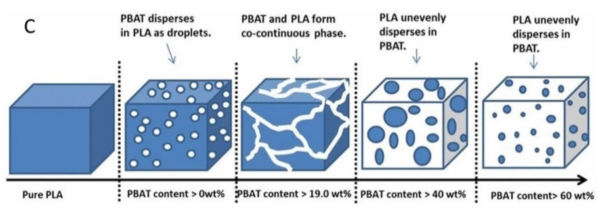 Polymers 13 02489 g002b