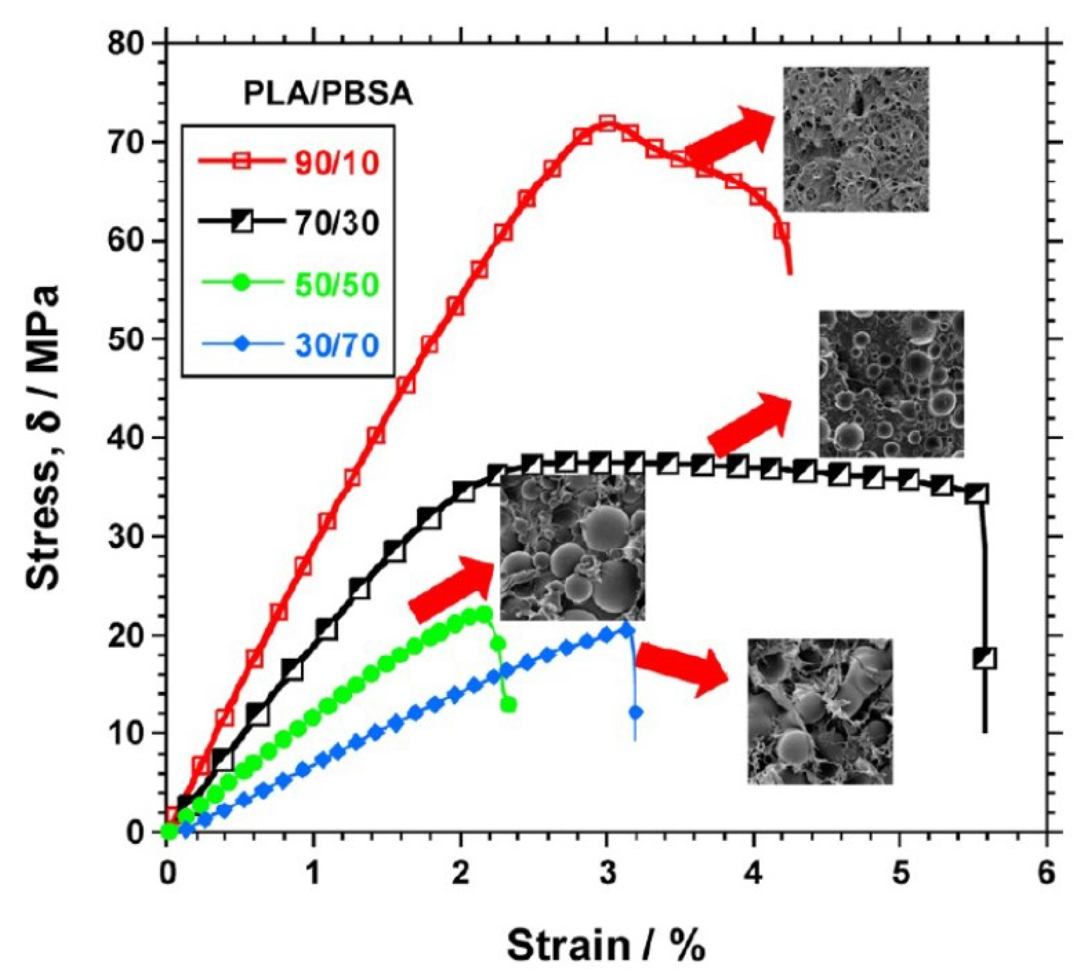 Polymers 13 02489 g003