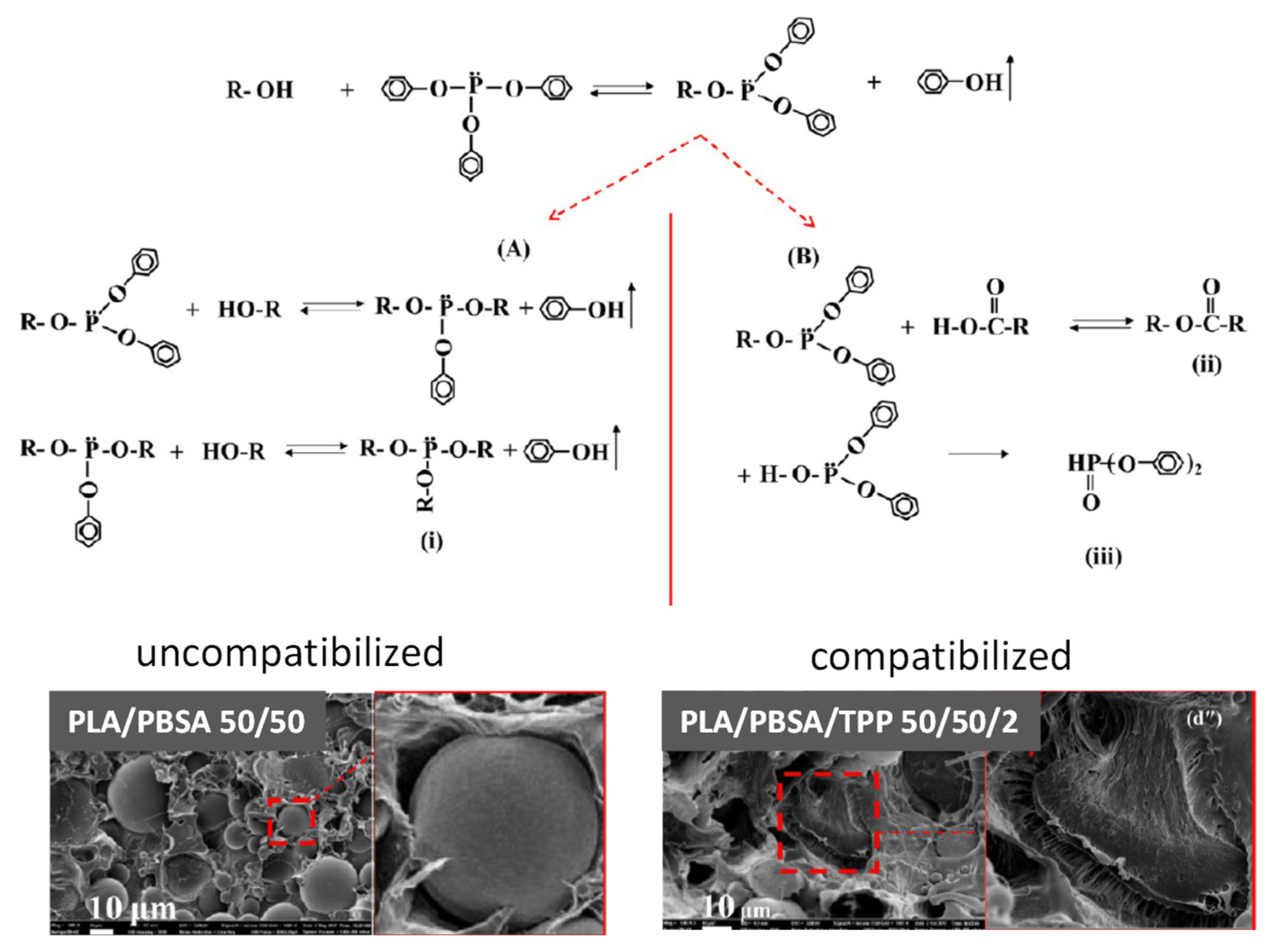 Polymers 13 02489 g006