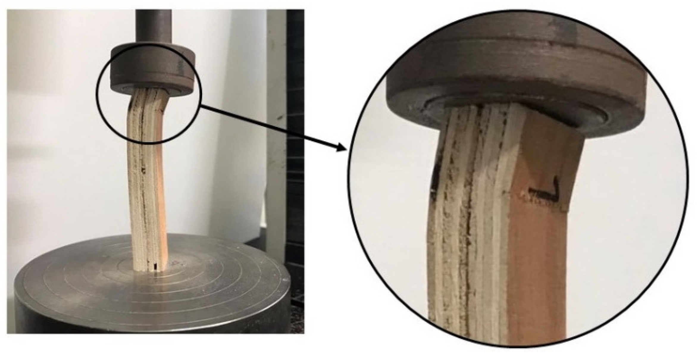 Polymers 13 02497 g008