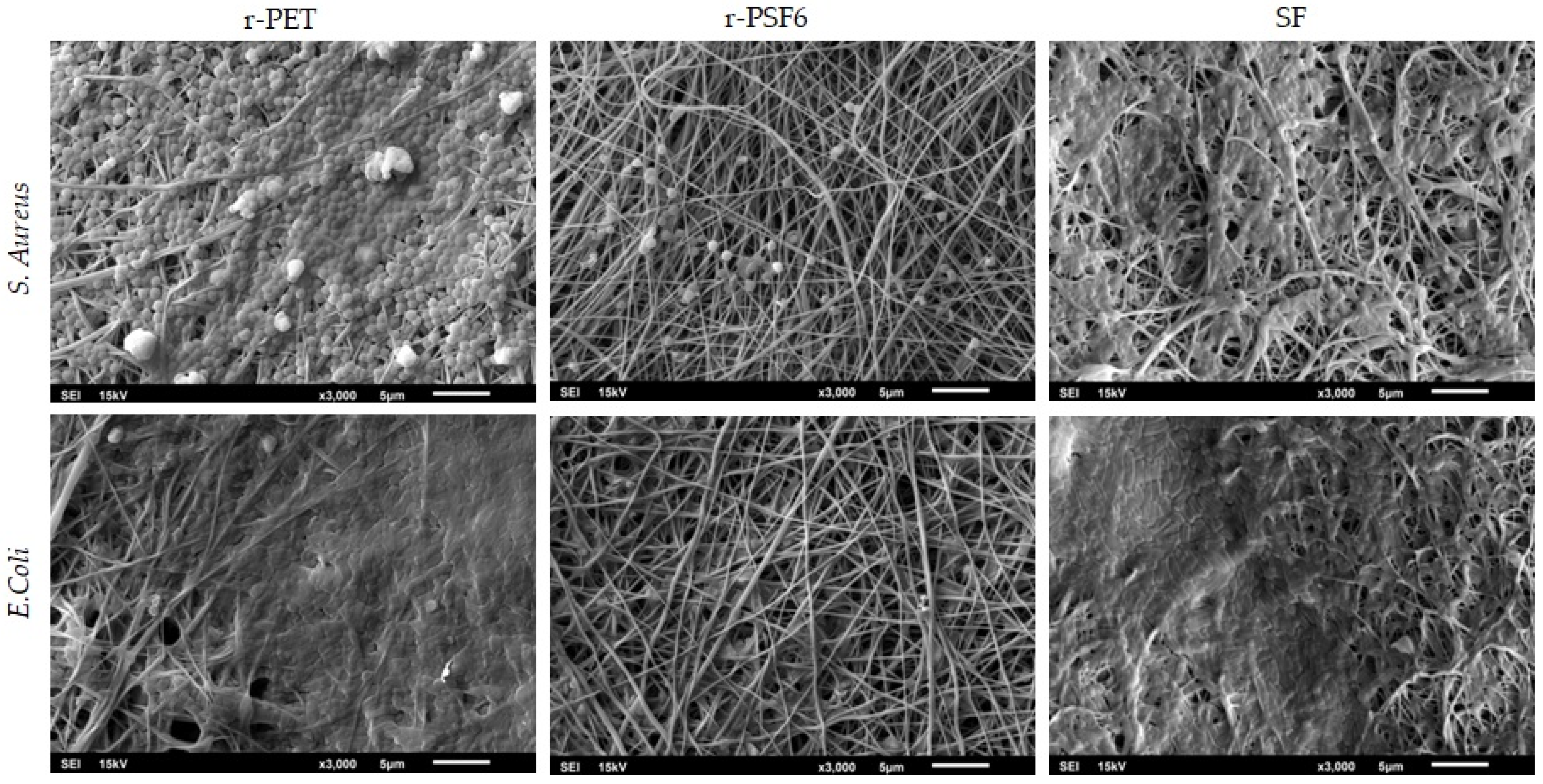 Polymers 13 02499 g009