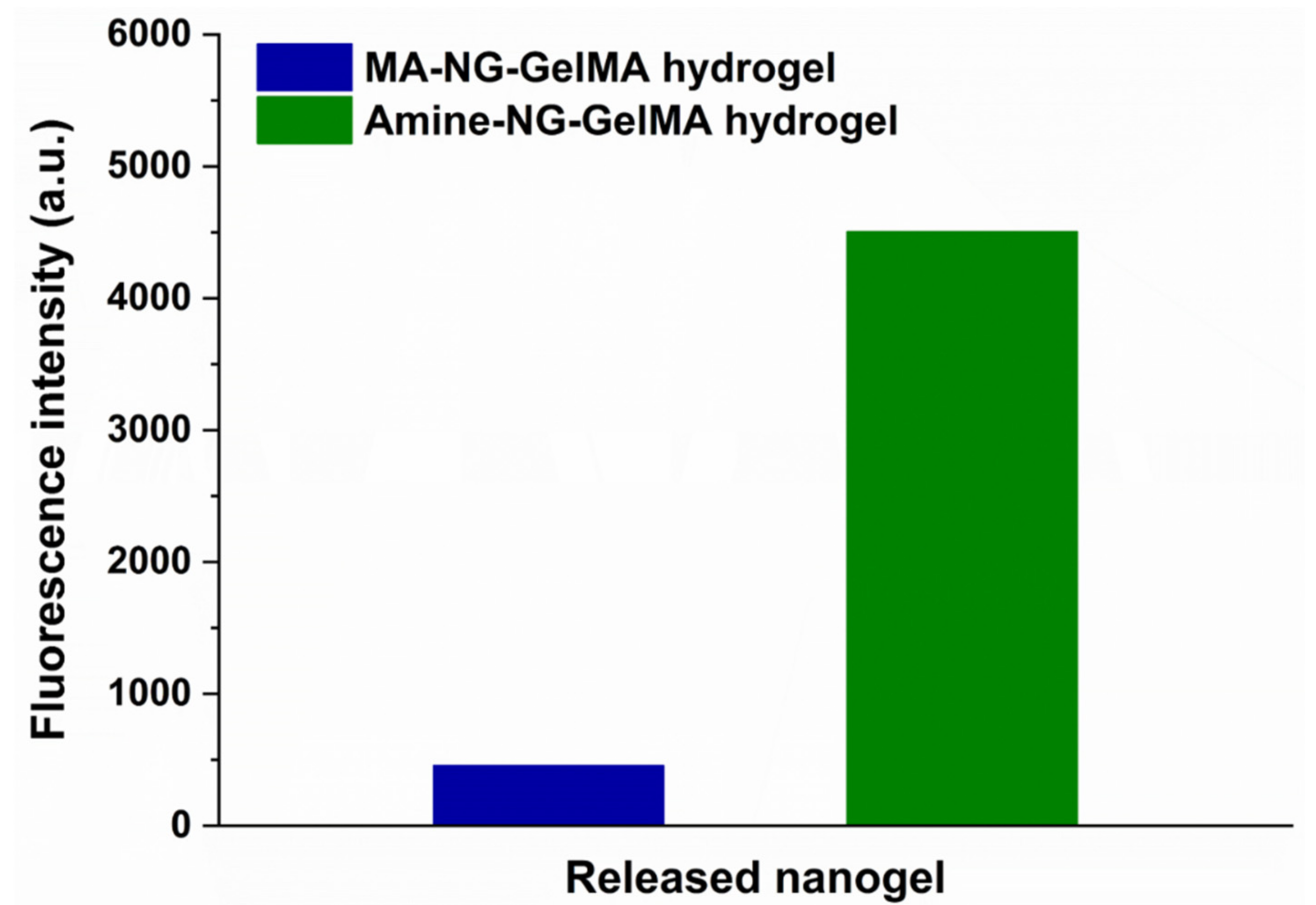 Polymers 13 02508 g006