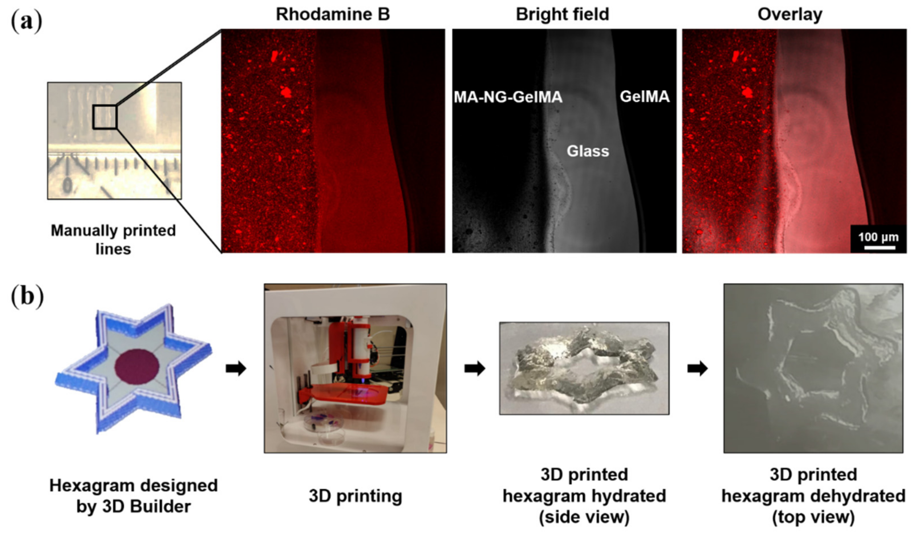 Polymers 13 02508 g007