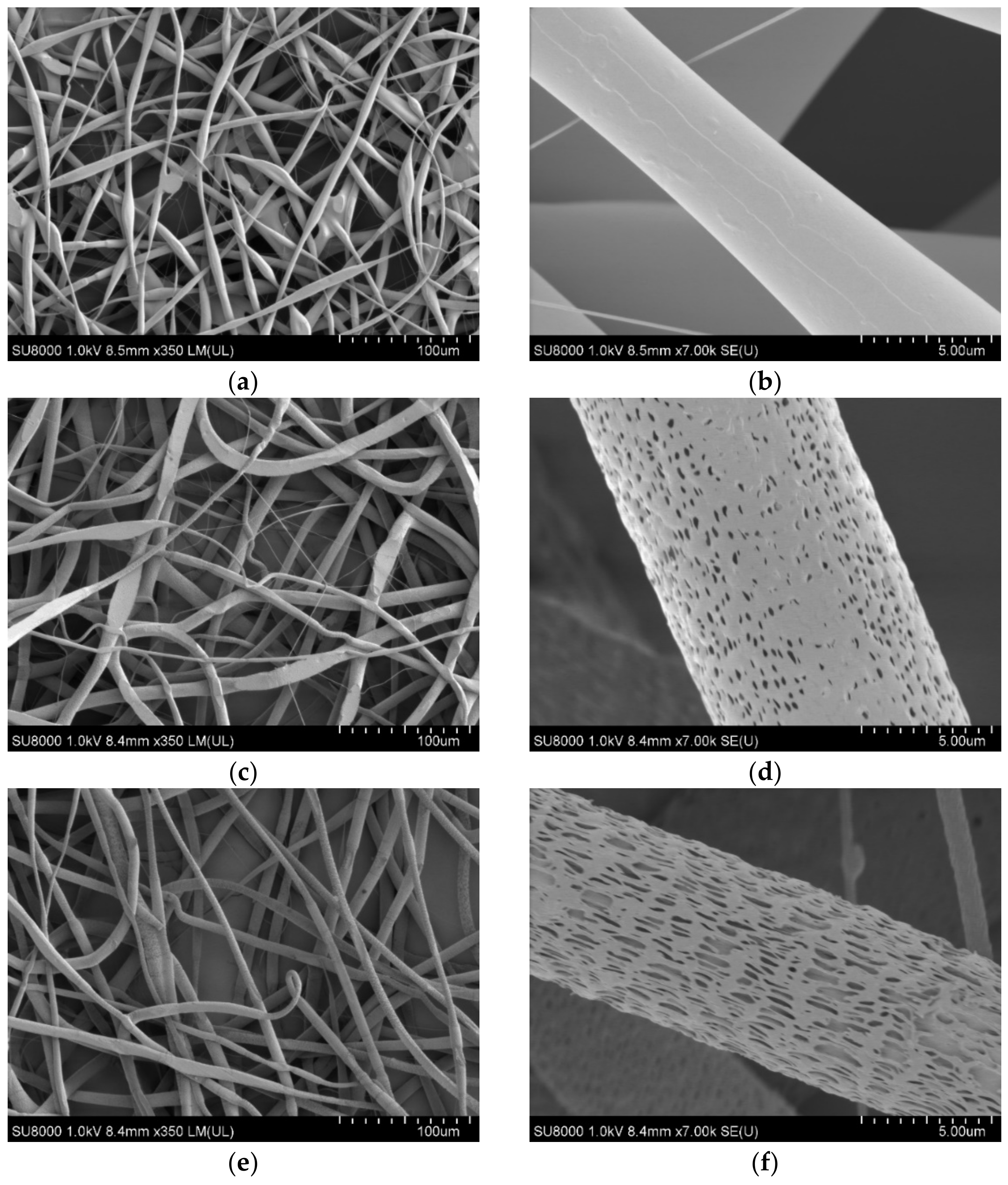 Polymers 13 02517 g004a
