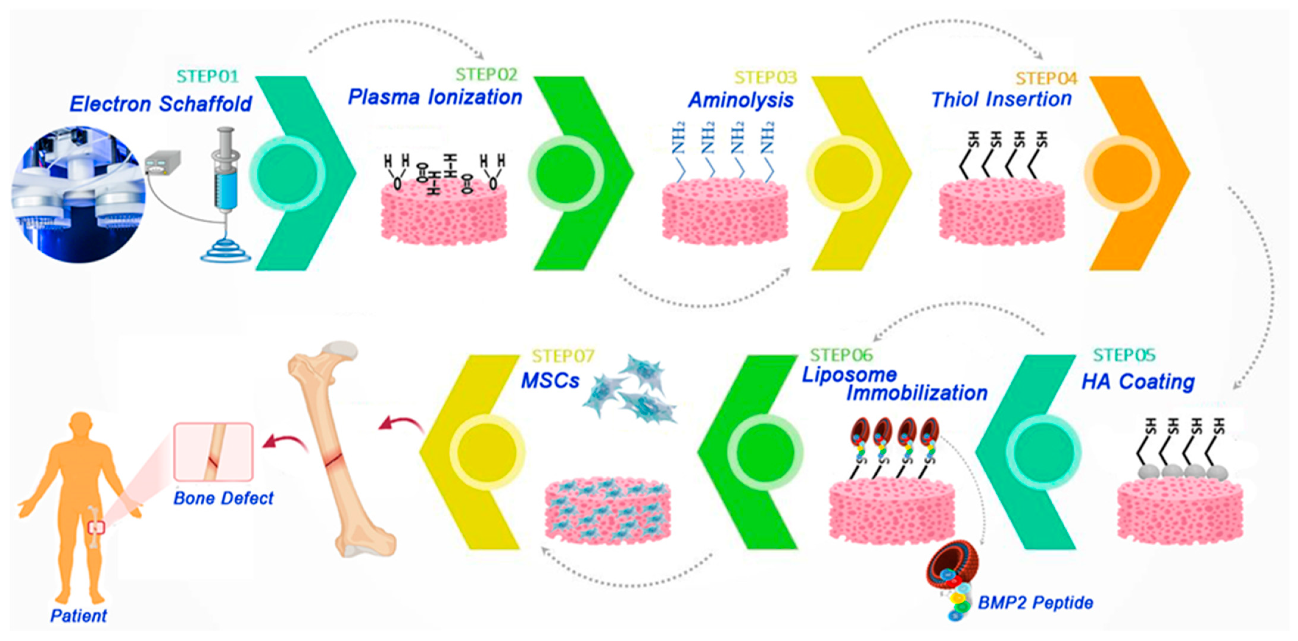 Polymers 13 02529 g005