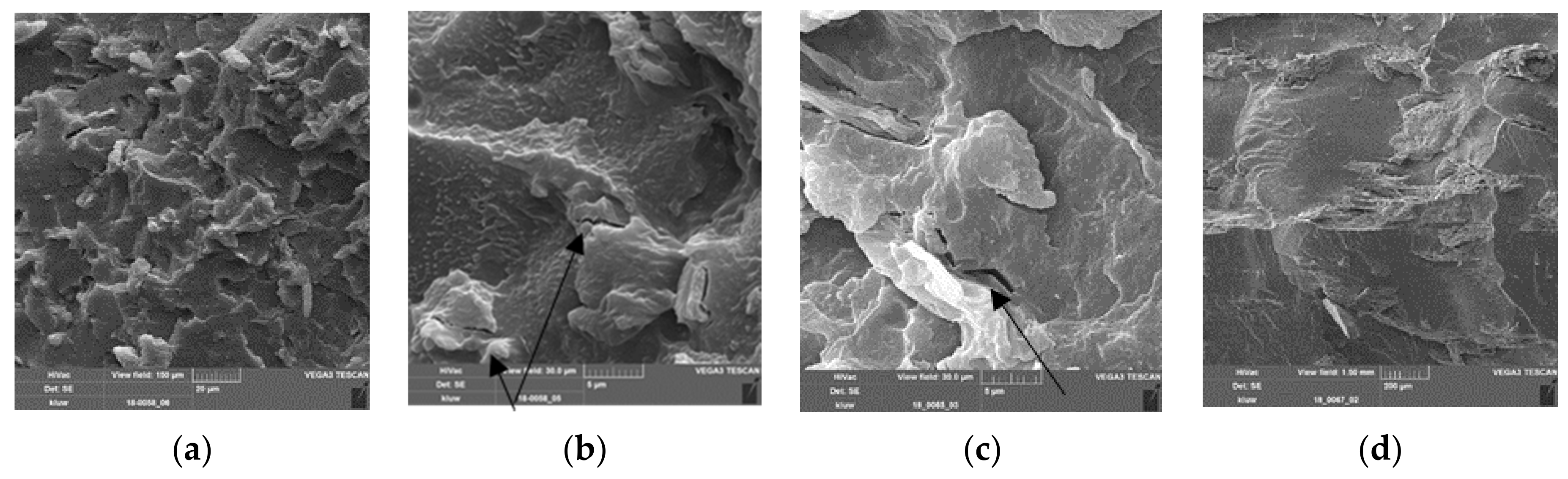 Polymers Free Full Text Poly Lactic Acid Poly Butylene Succinate Sugar Beet Pulp Composites Part I Mechanics Of Composites With Fine And Coarse Sugar Beet Pulp Particles Html