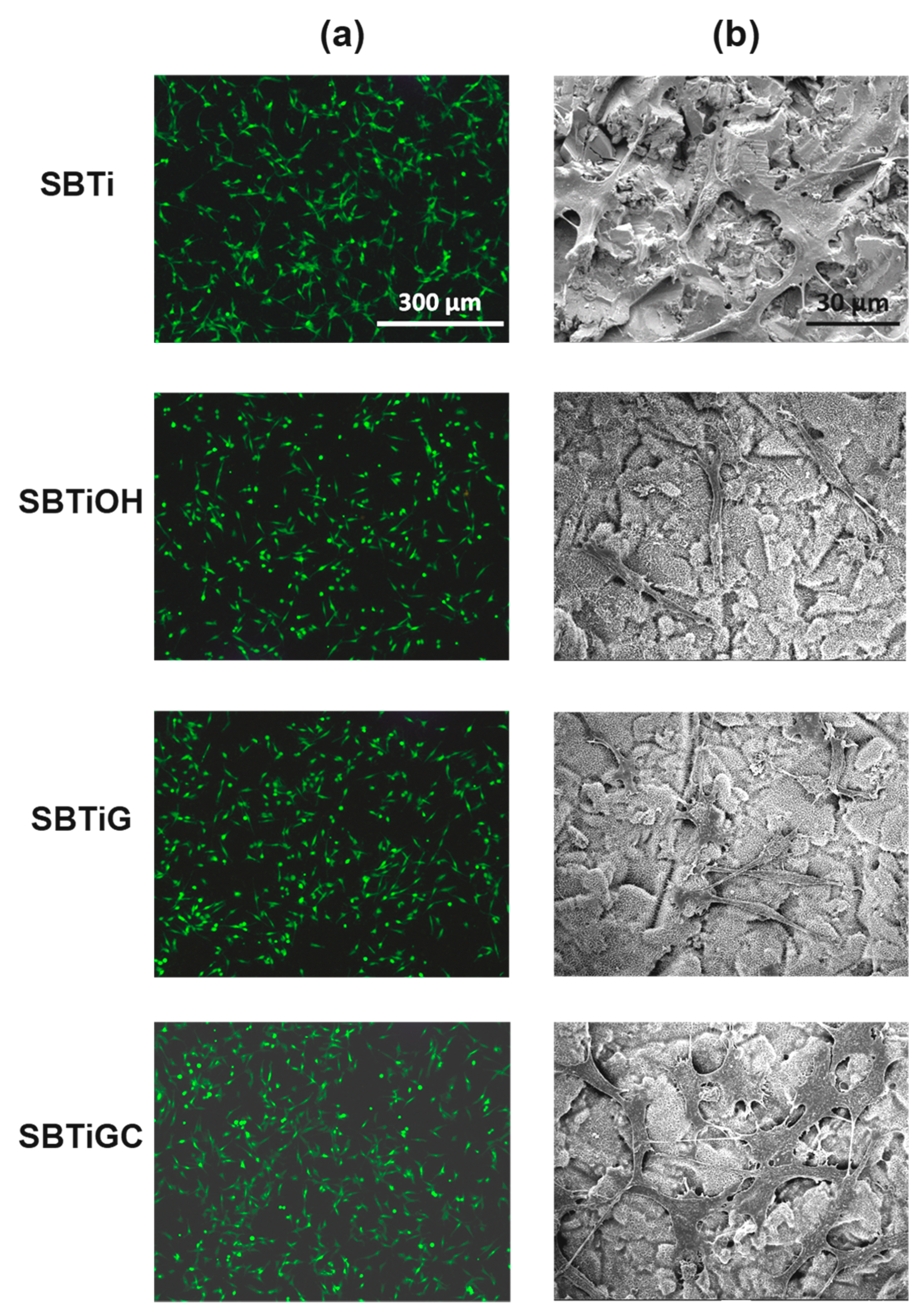 Polymers 13 02550 g004