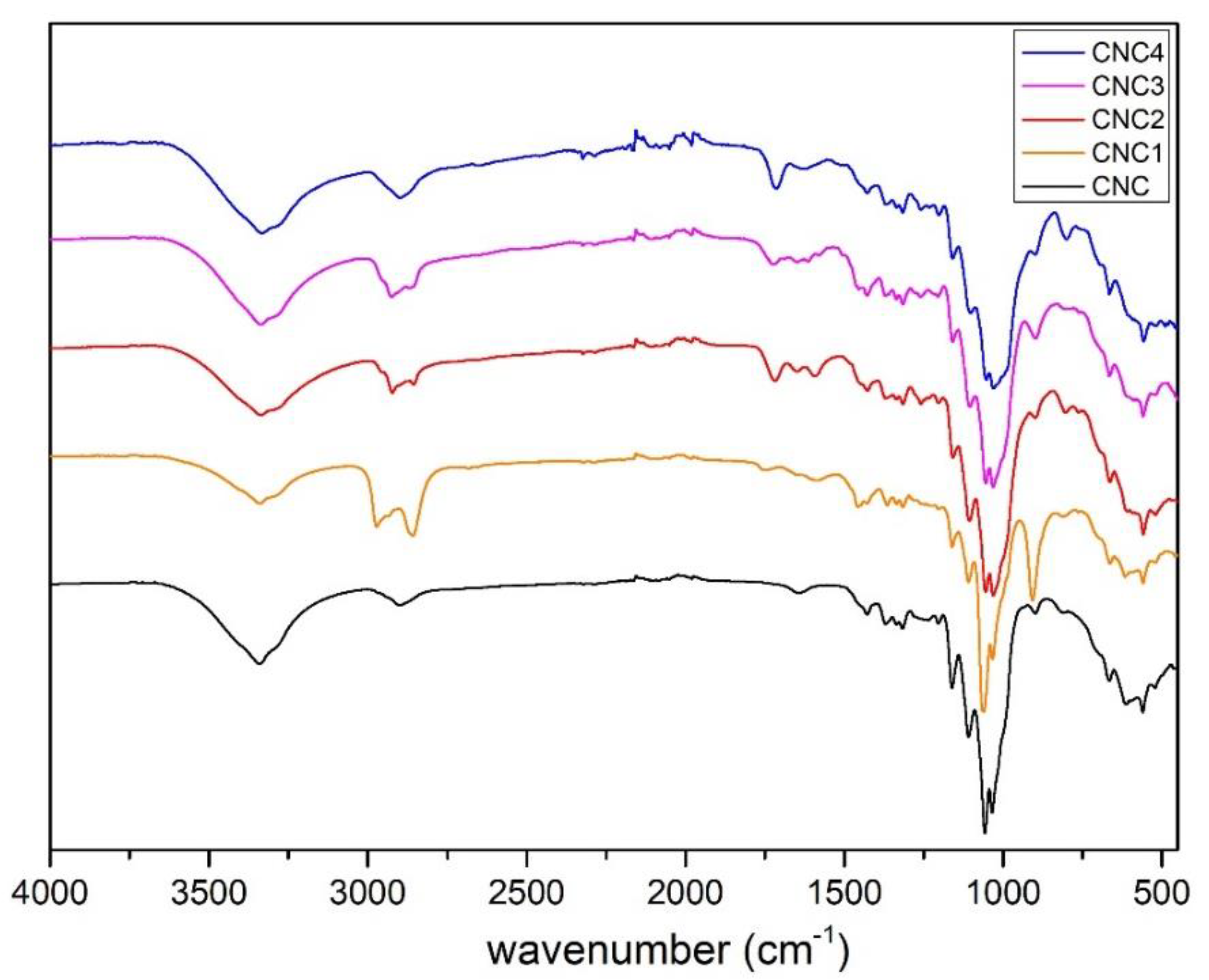 Polymers 13 02556 g001