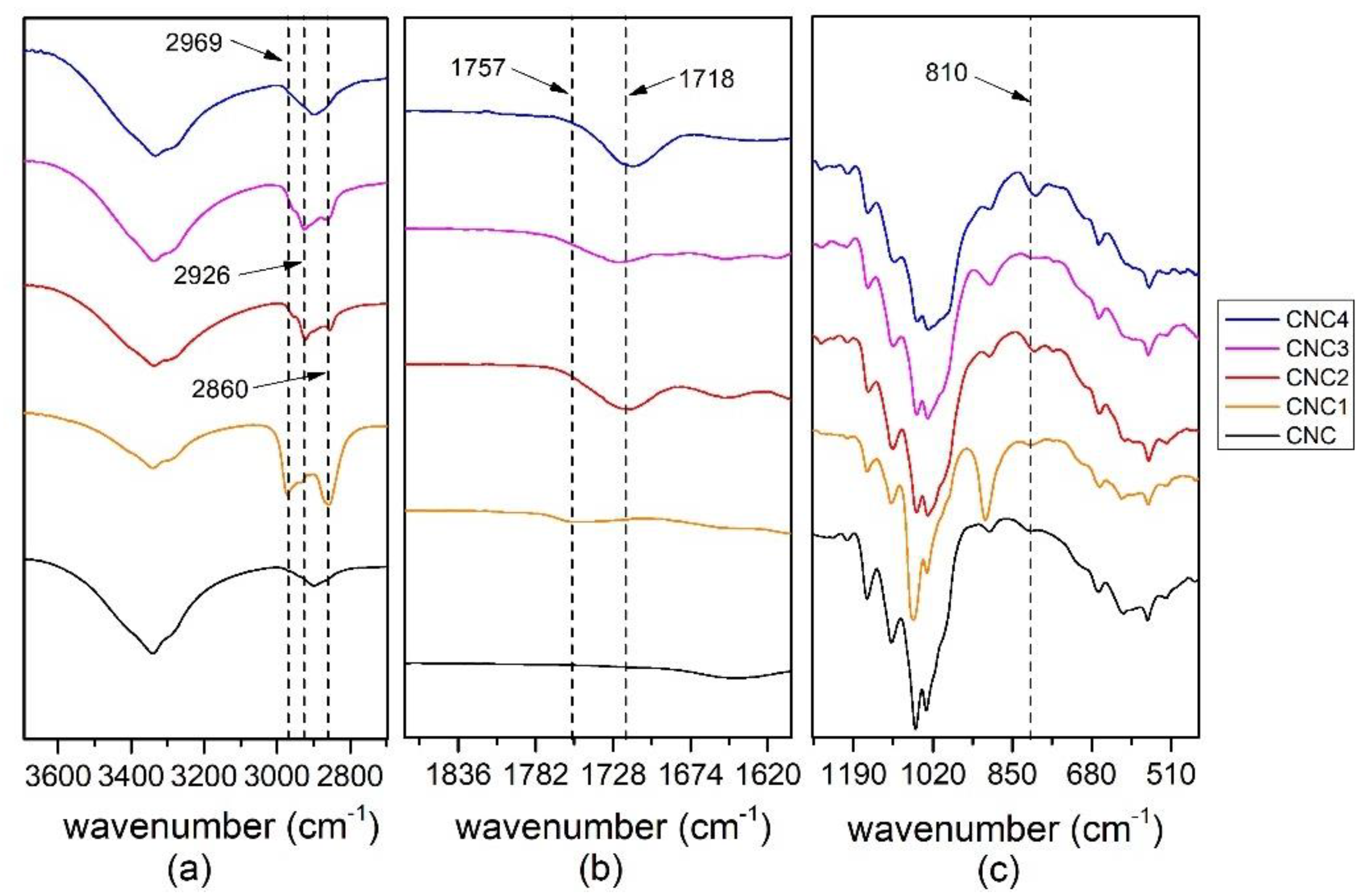Polymers 13 02556 g002
