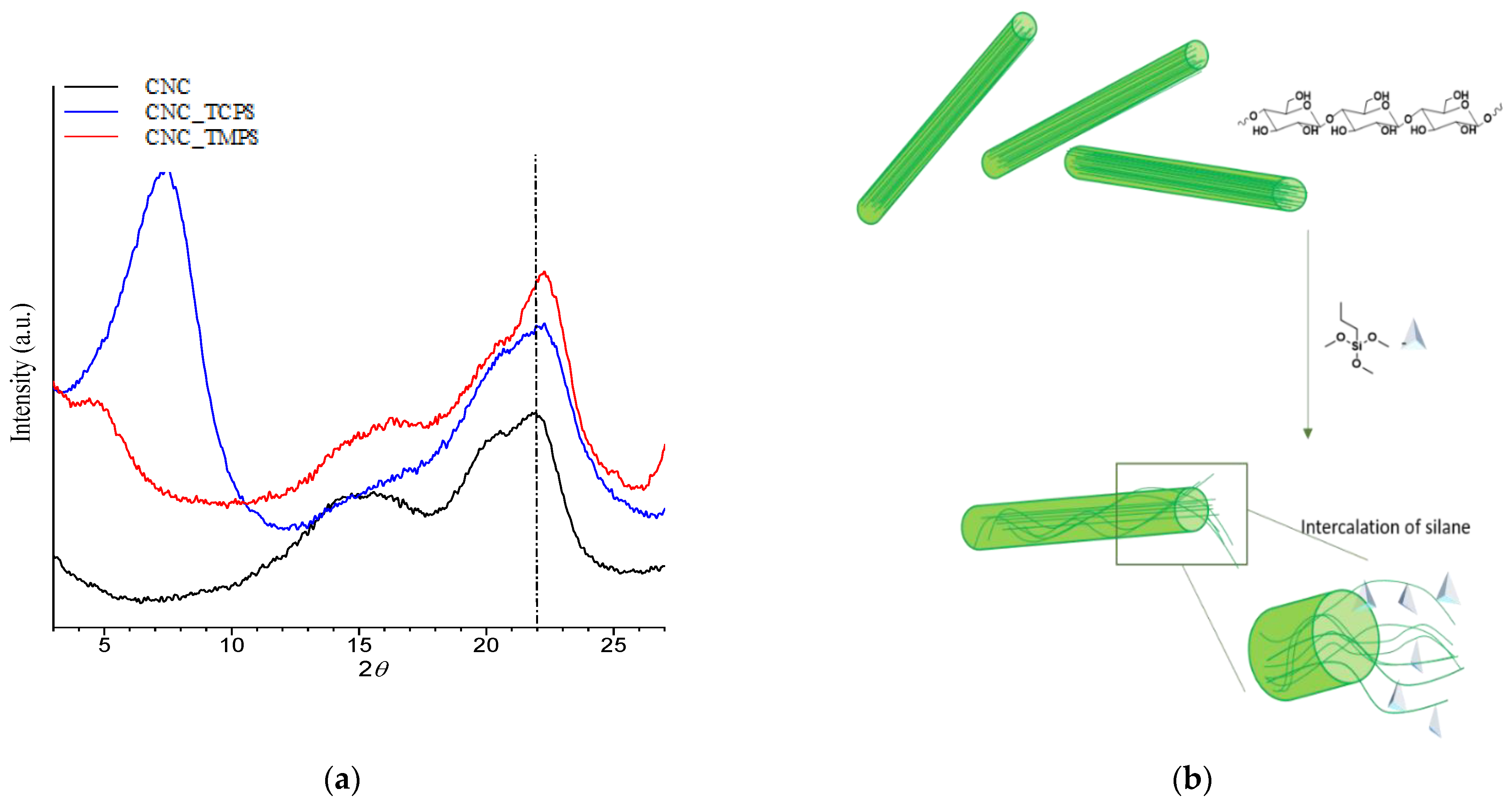 Polymers 13 02556 g004