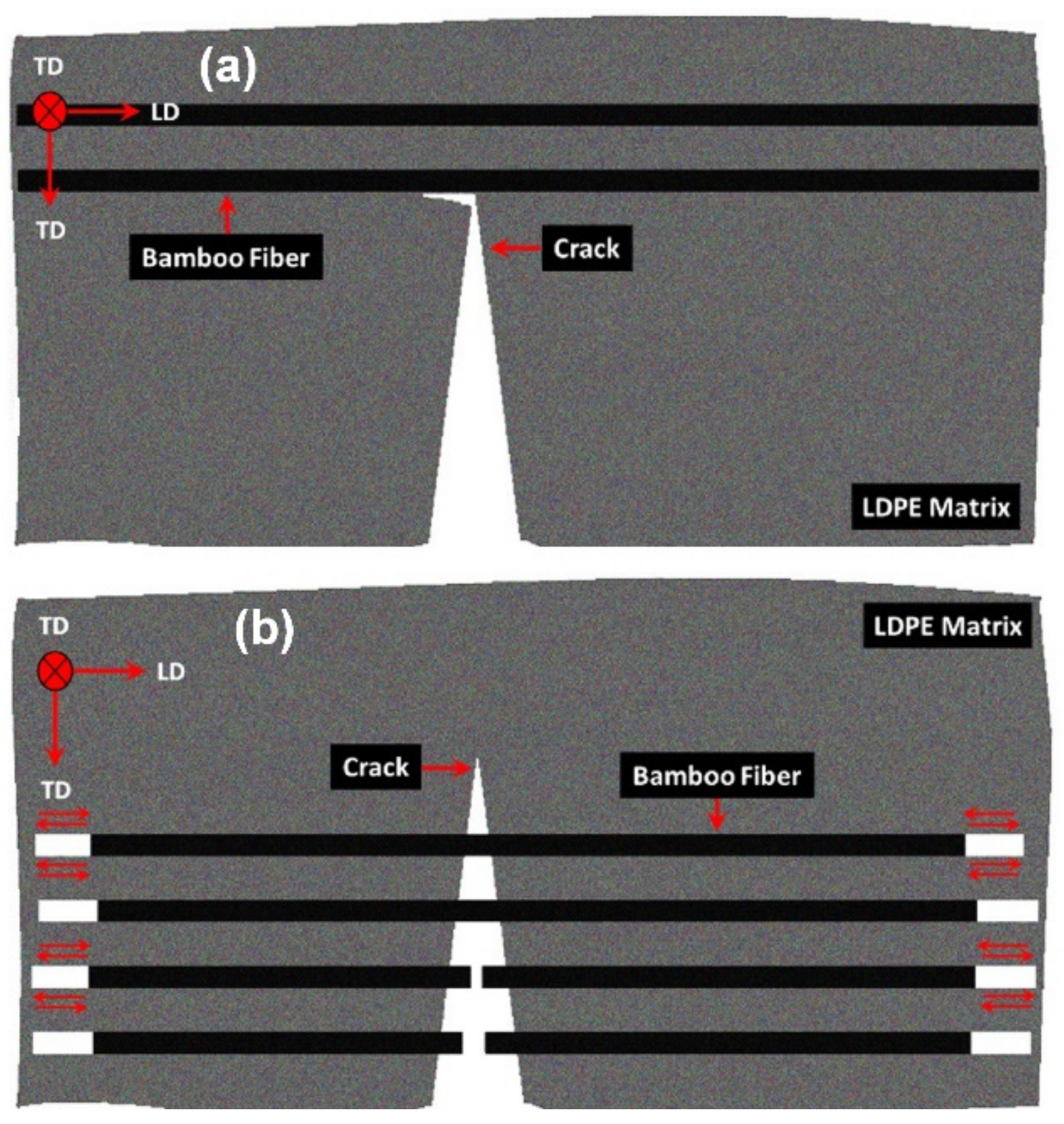 Polymers 13 02564 g007