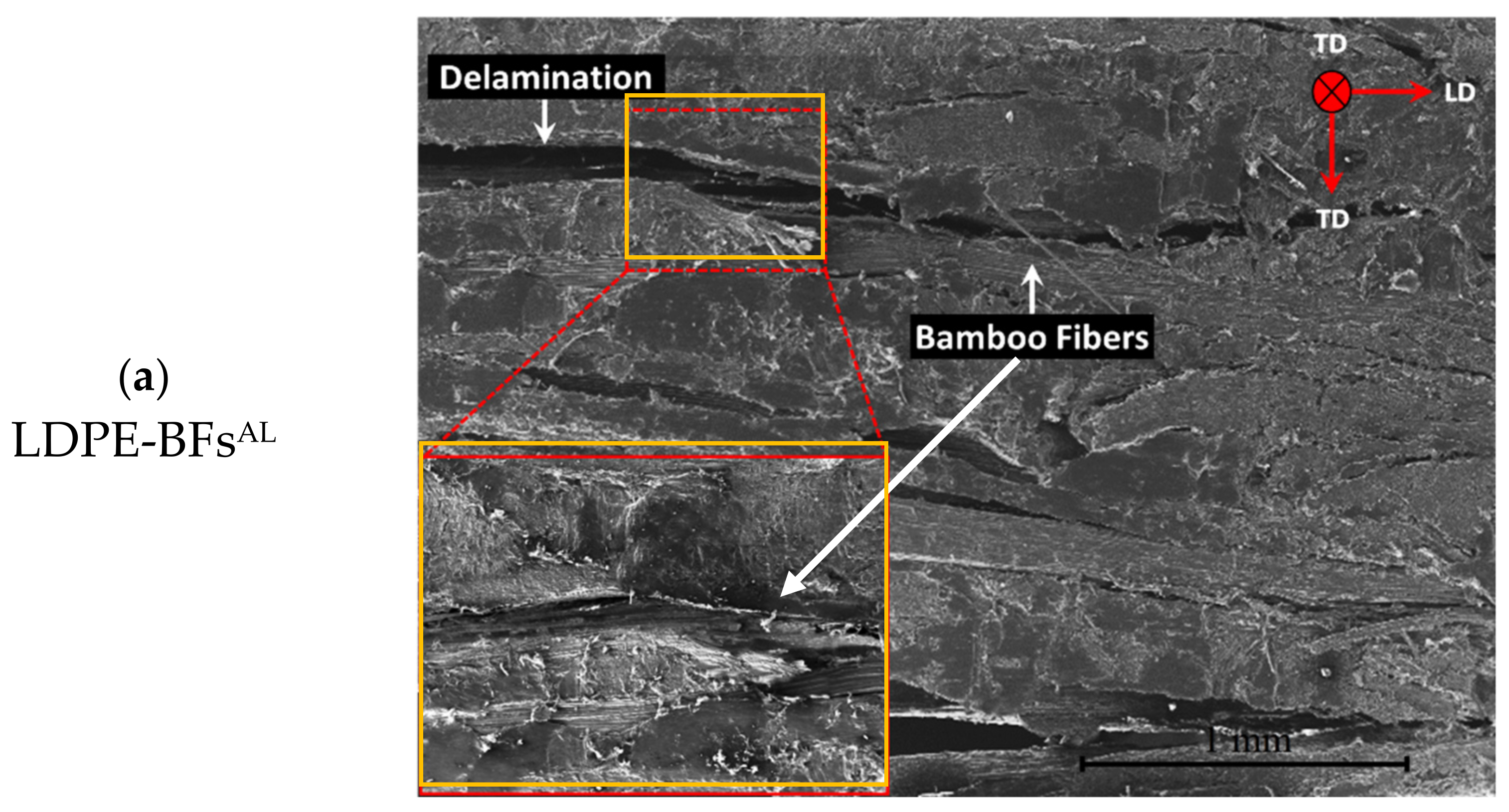 Polymers 13 02564 g010a