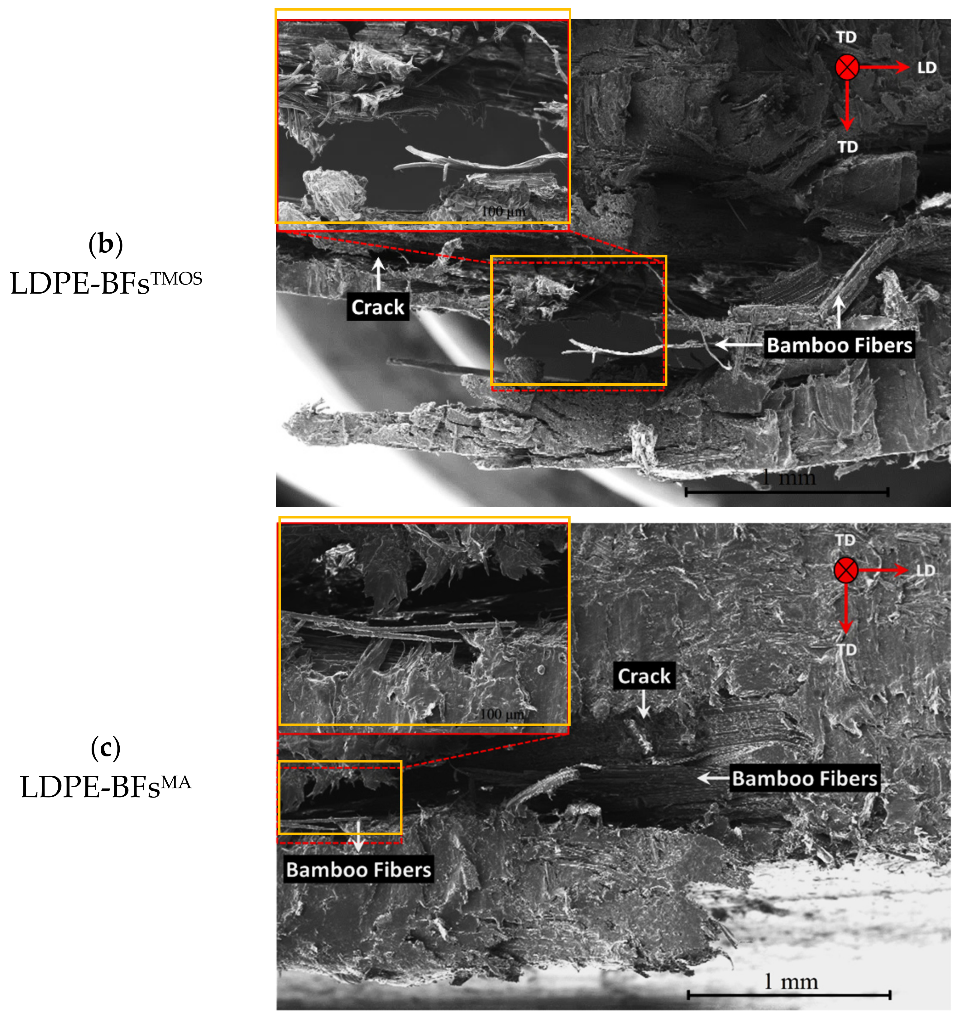 Polymers 13 02564 g010b