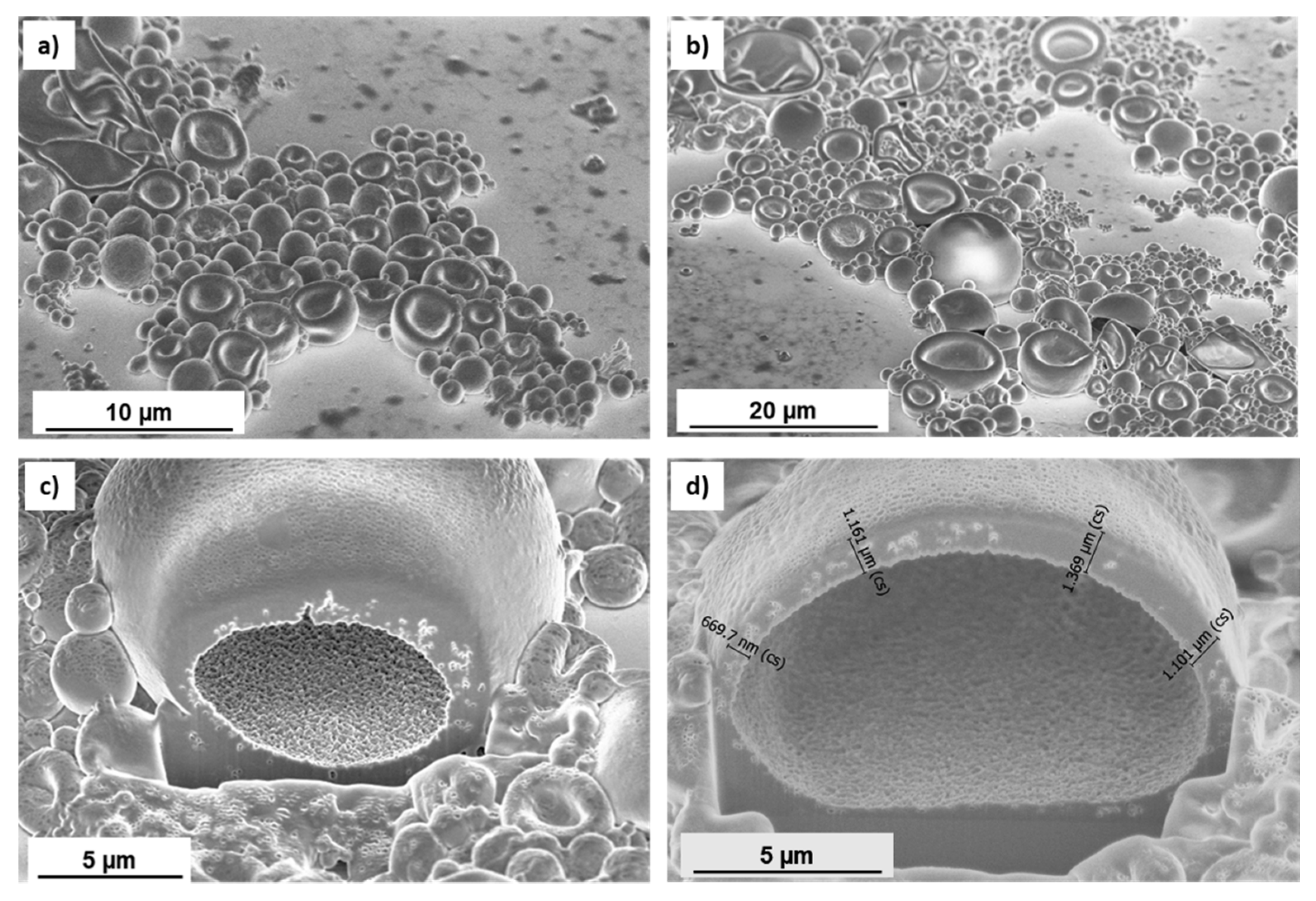 Polymers 13 02566 g004