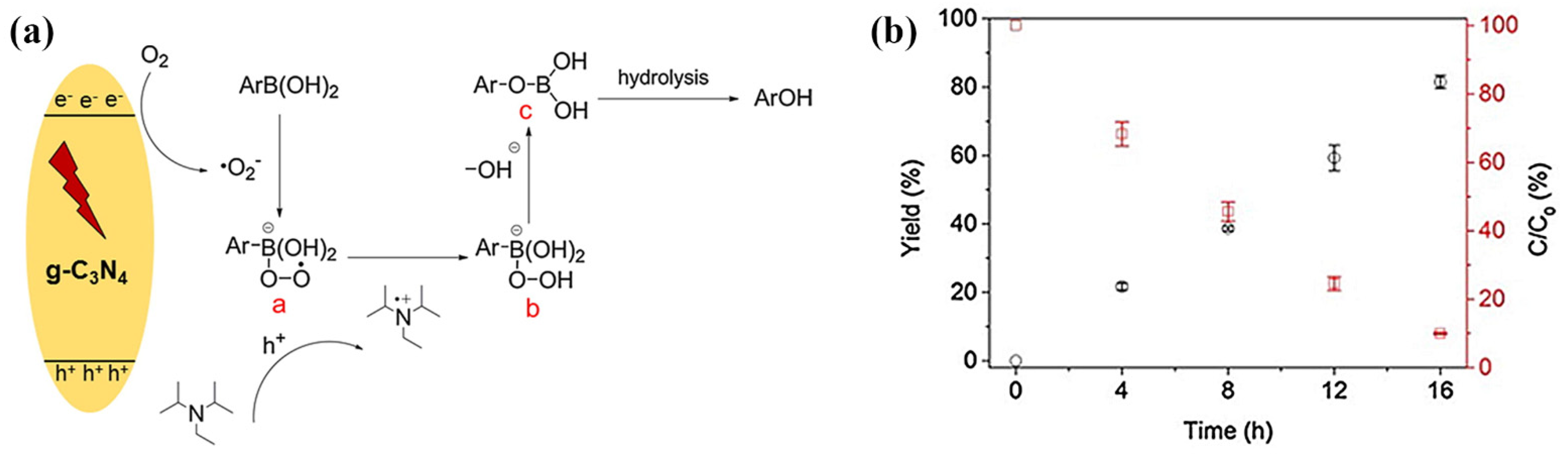 Polymers 13 02568 g011