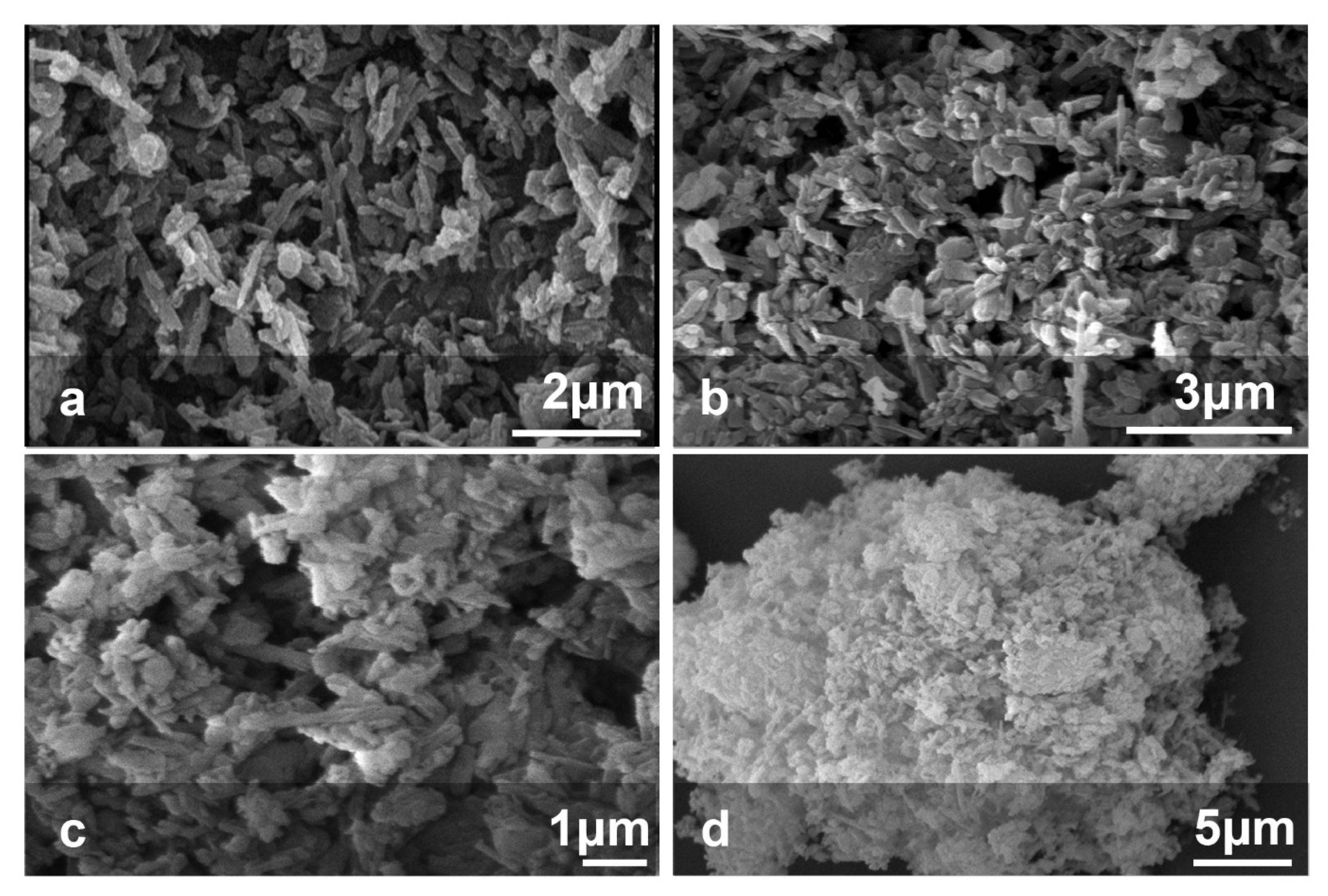 Polymers 13 02576 g006