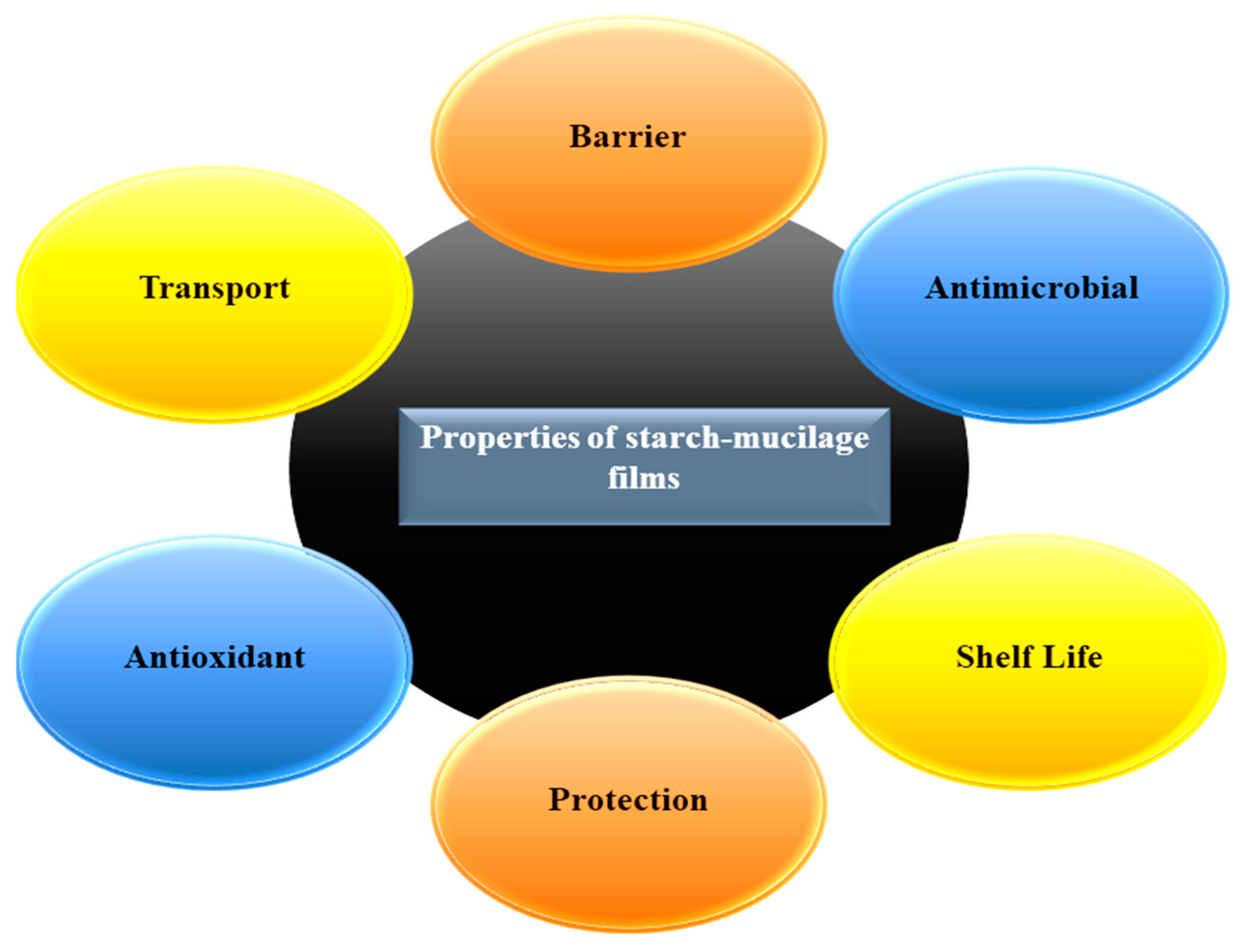 Polymers 13 02588 g003