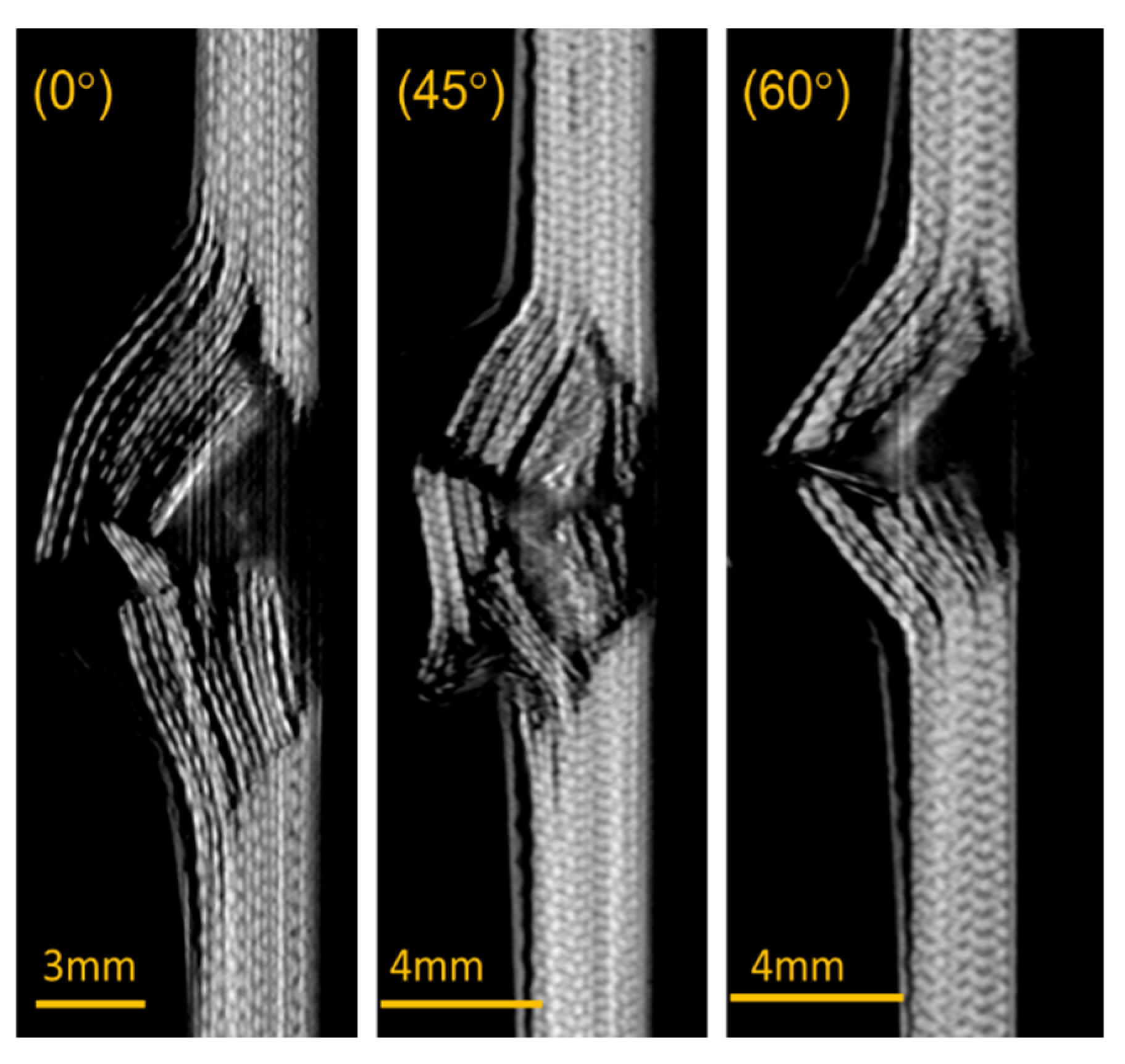 Polymers 13 02591 g010