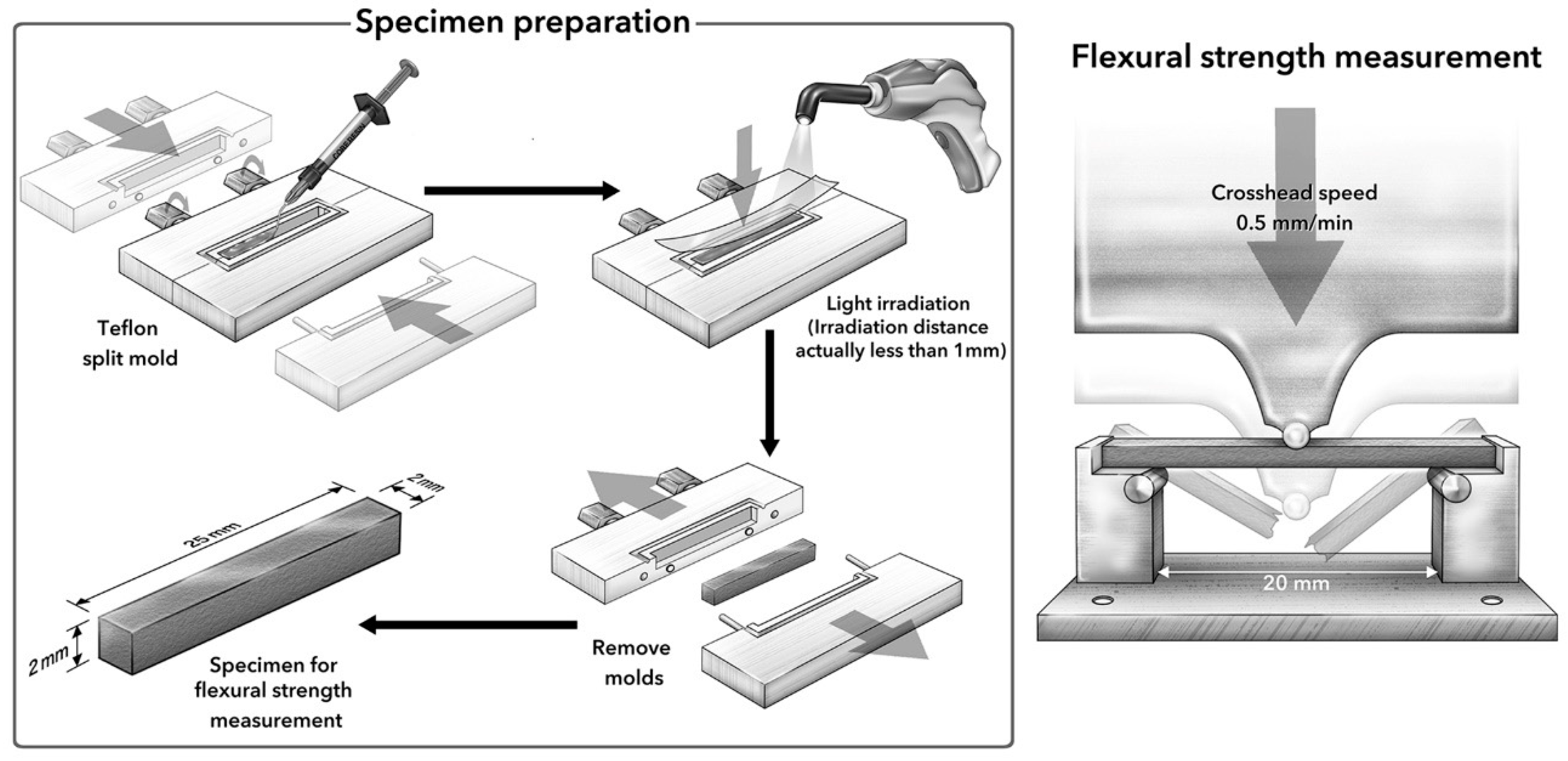 Degree of conversion and in vitro temperature rise of pulp chamber during  polymerization of flowable and sculptable conventional, bulk-fill and  short-fibre reinforced resin composites - ScienceDirect