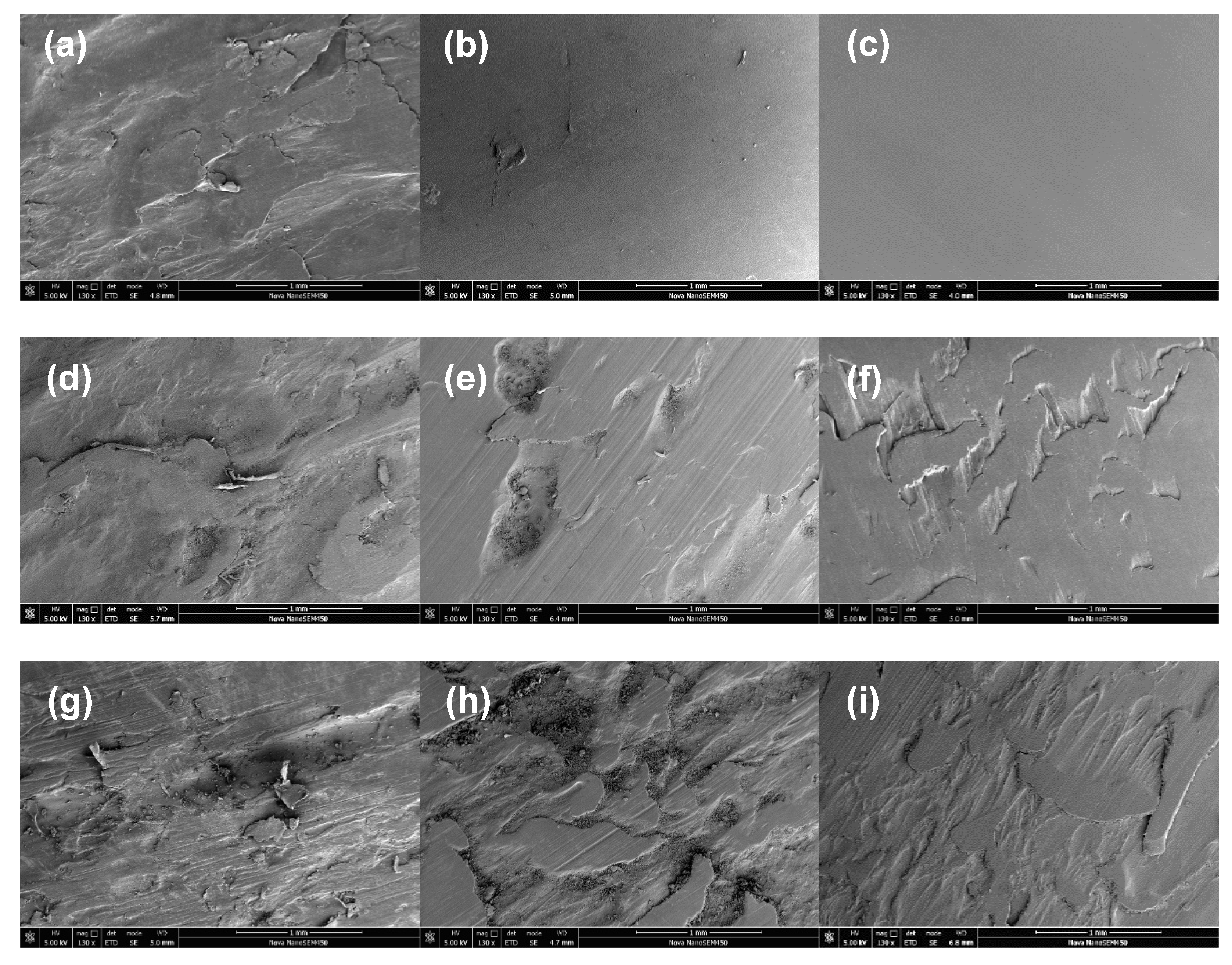 Polymers 13 02614 g008