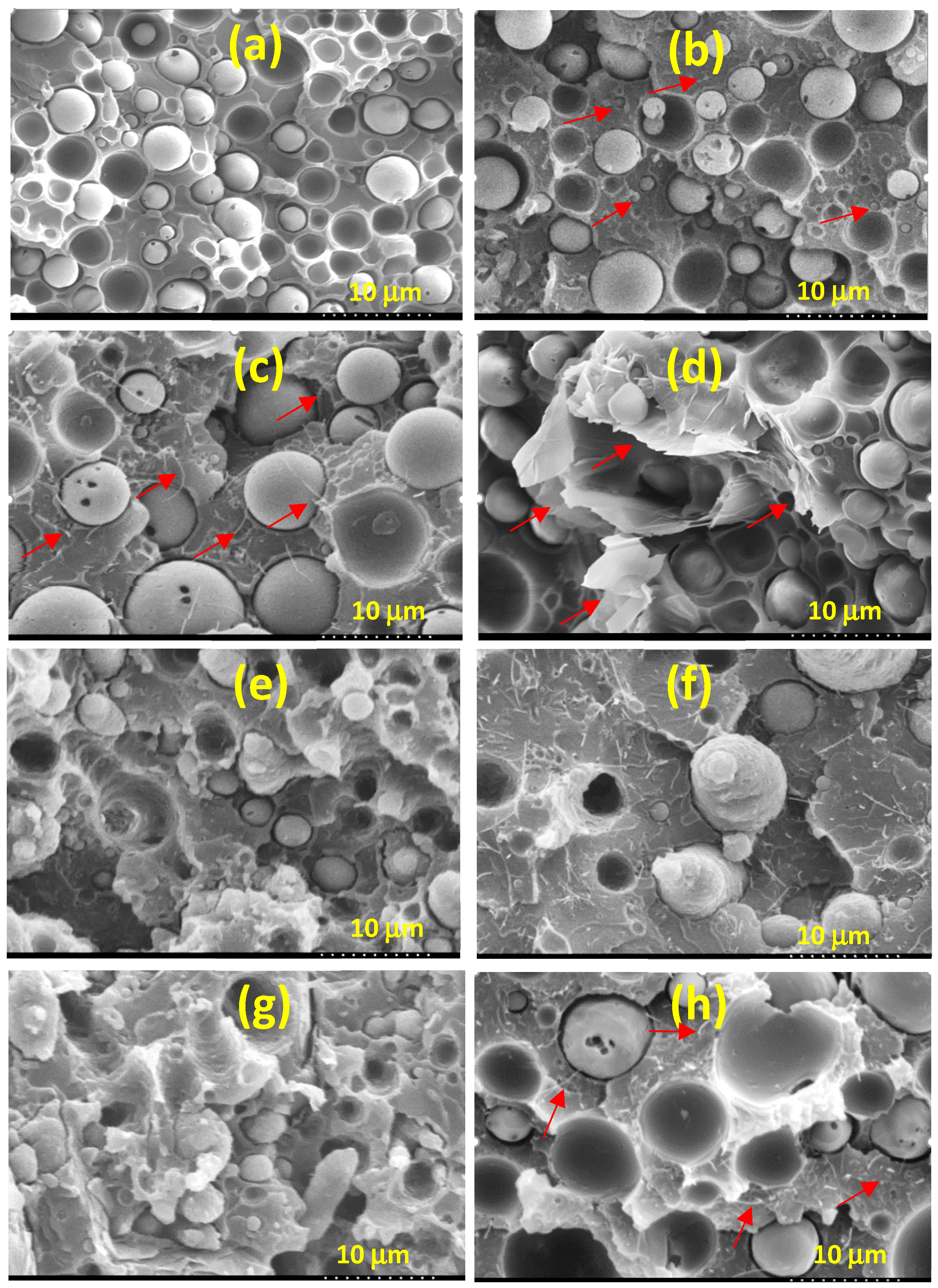 Polymers 13 02626 g001