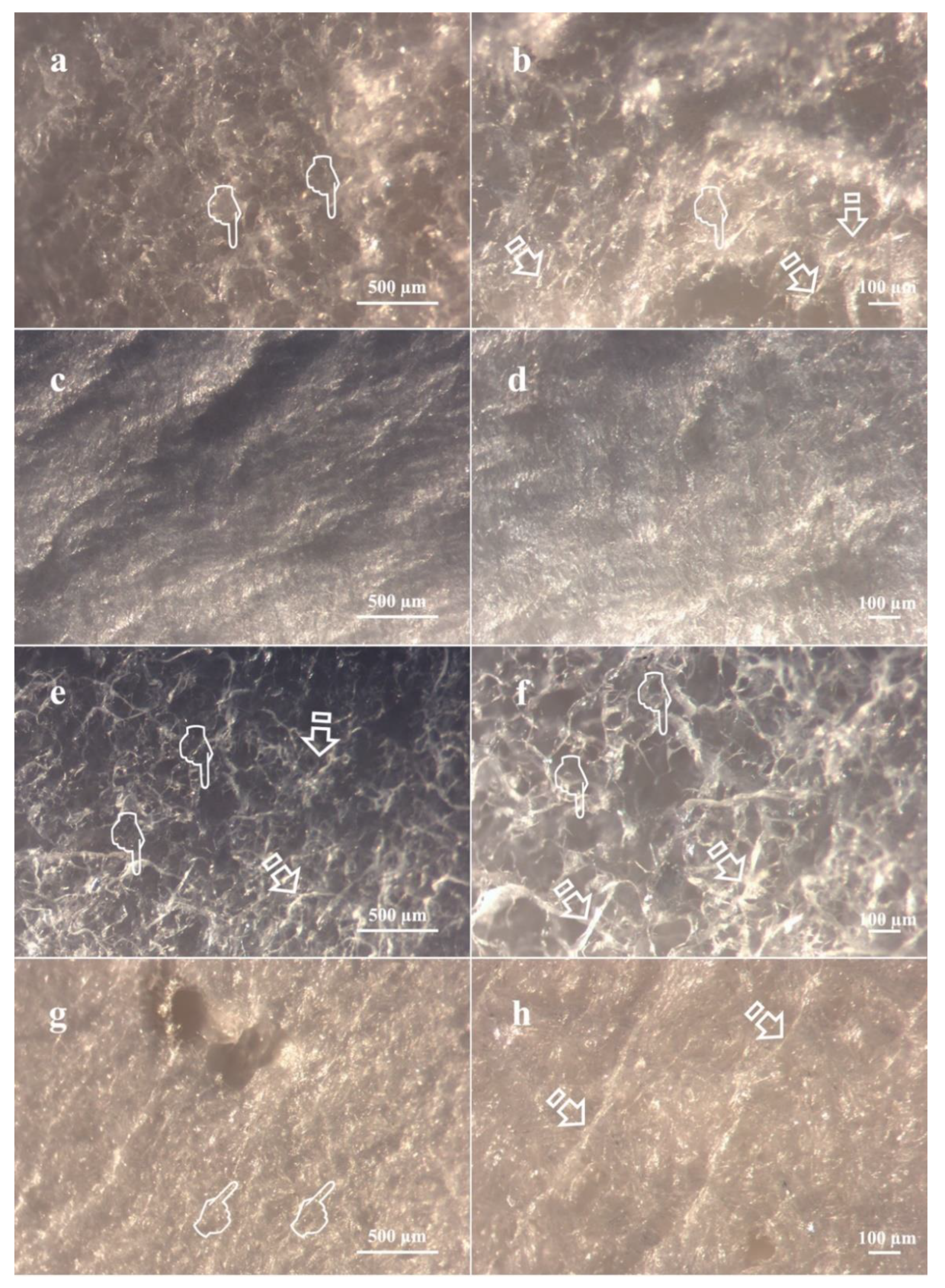 Polymers 13 02633 g003