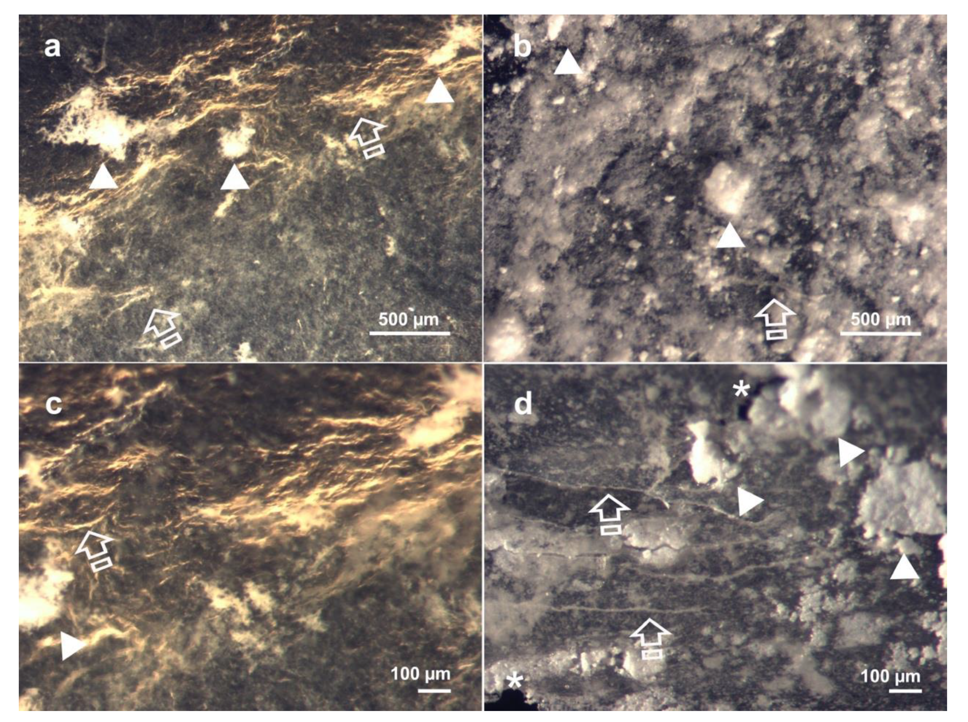 Polymers 13 02633 g004
