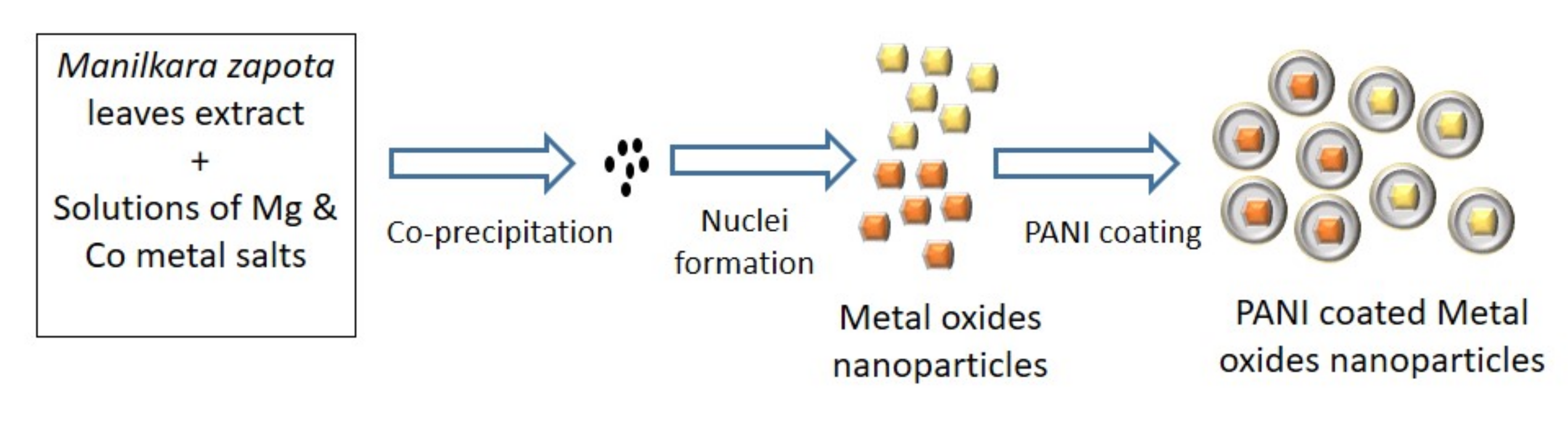 Polymers 13 02669 g002