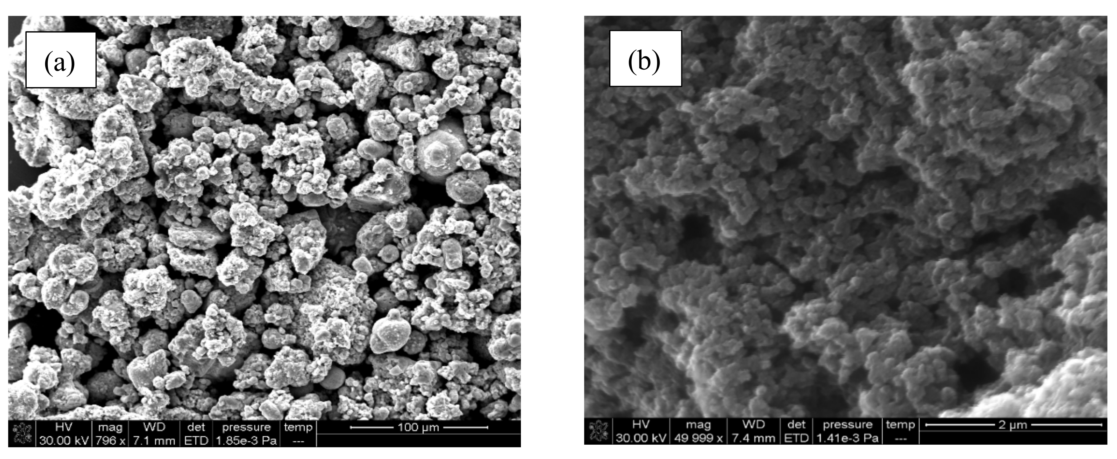 Polymers 13 02669 g005