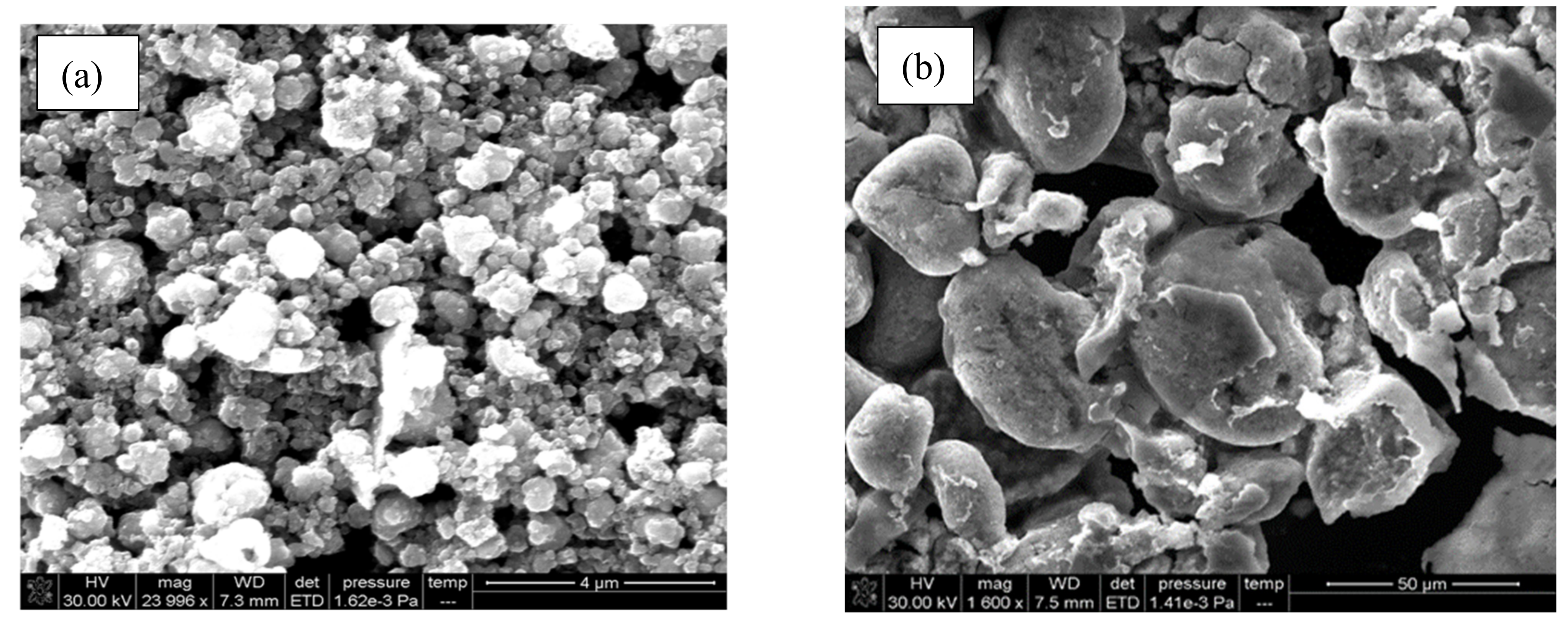 Polymers 13 02669 g006