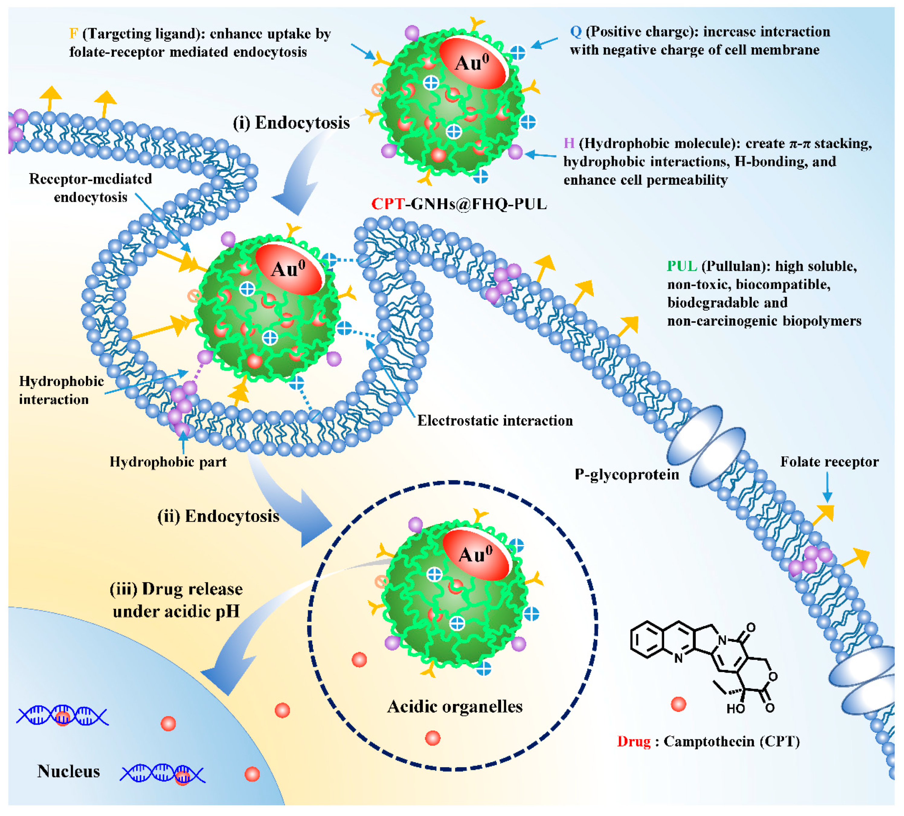 Polymers 13 02670 g001