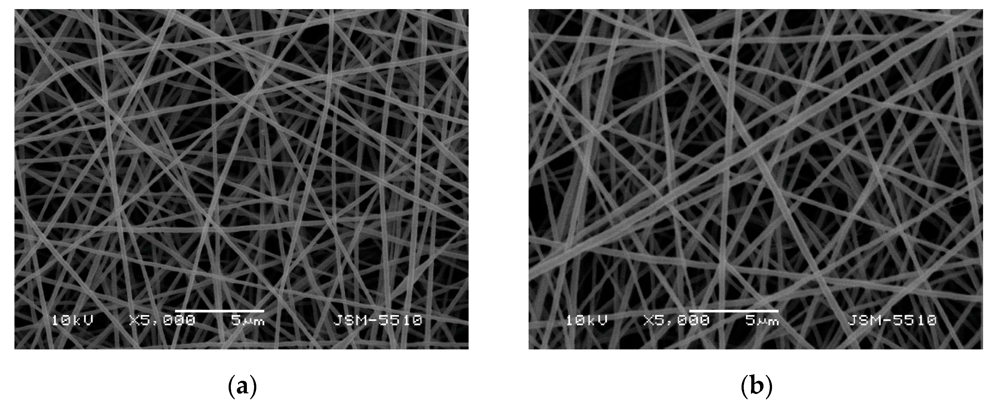 Polymers 13 02690 g001 Polymers 13 02690 g001