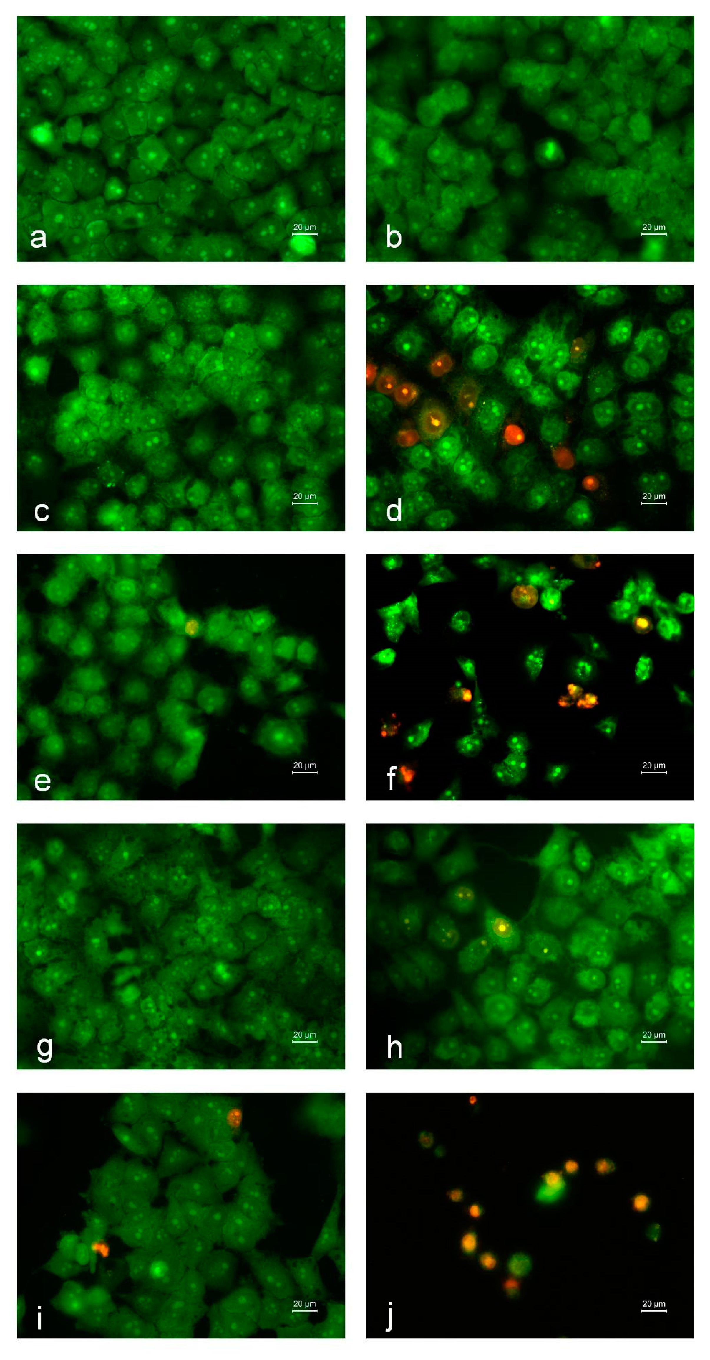 Polymers 13 02690 g010 Polymers 13 02690 g010