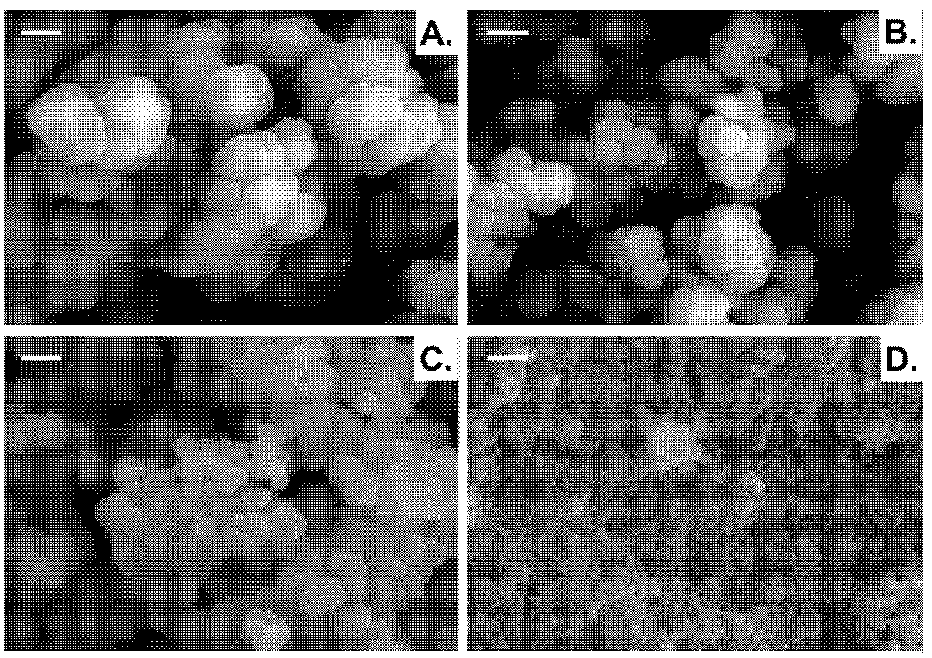 Polymers 13 02692 g003