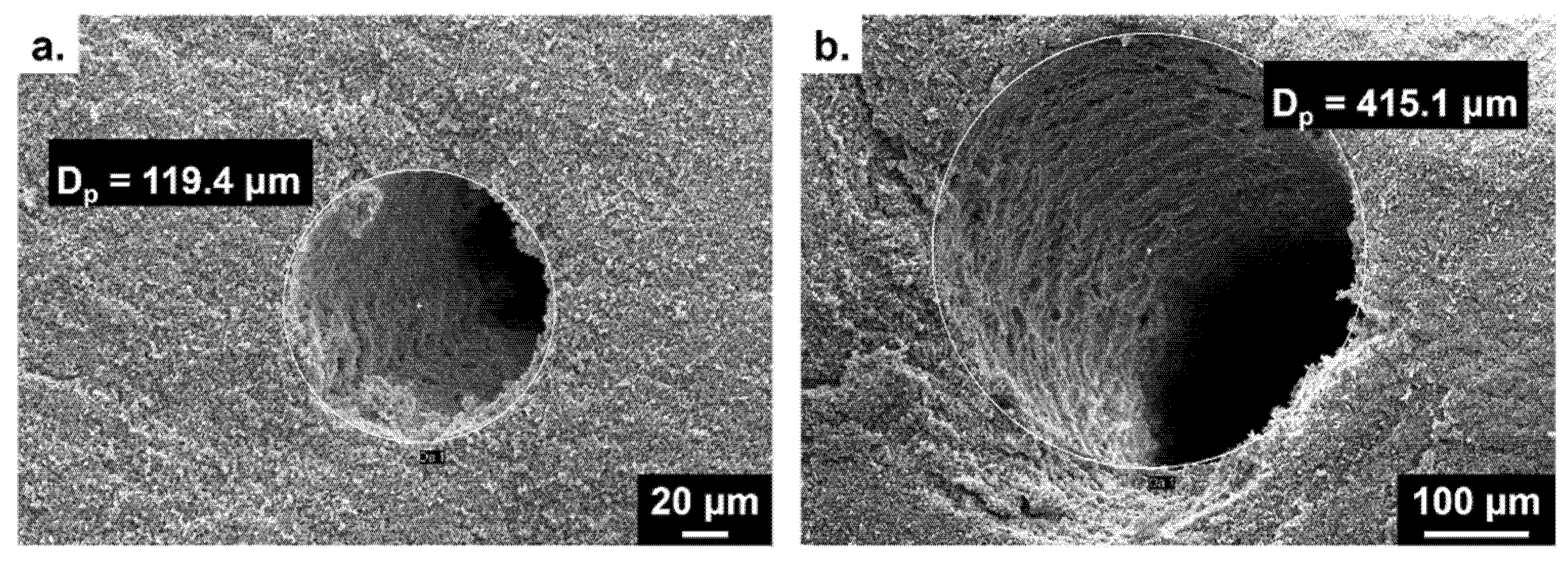 Polymers 13 02692 g004