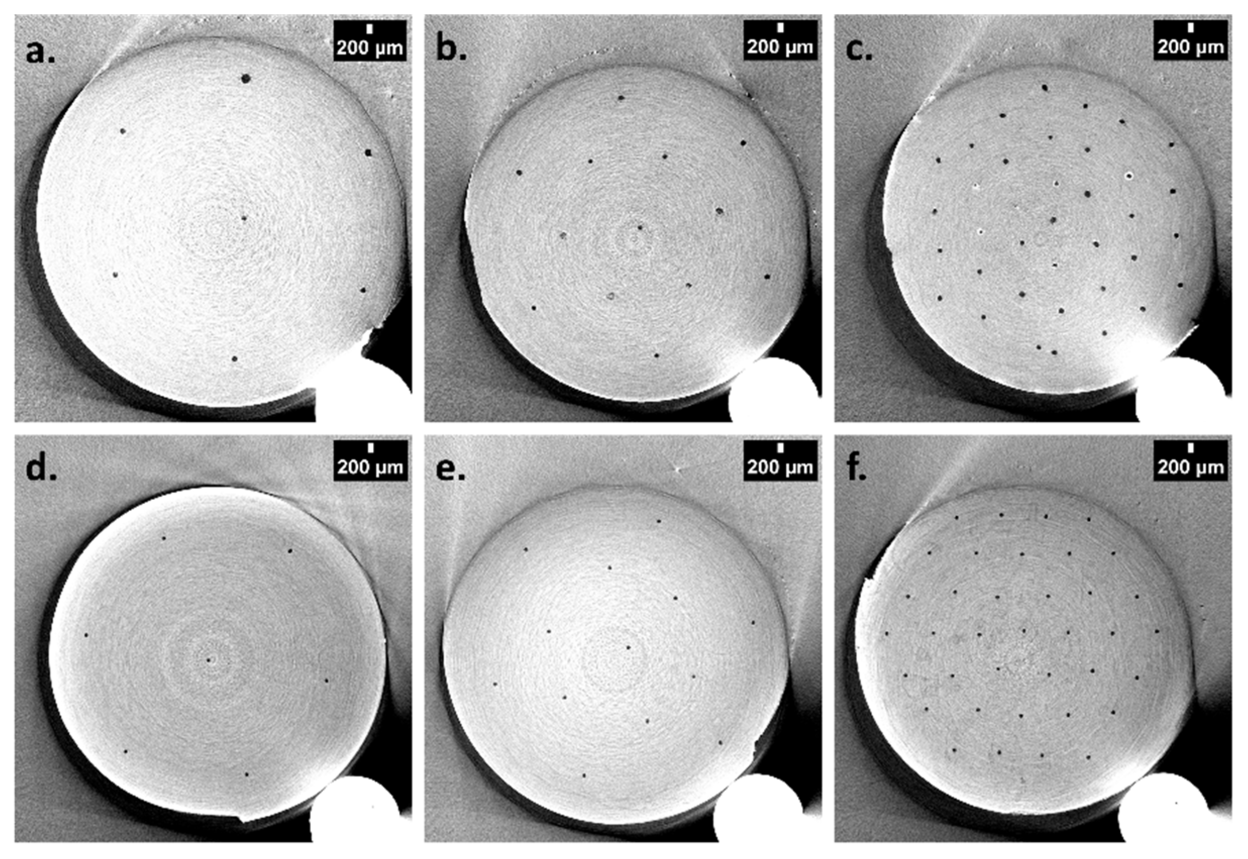 Polymers 13 02692 g005