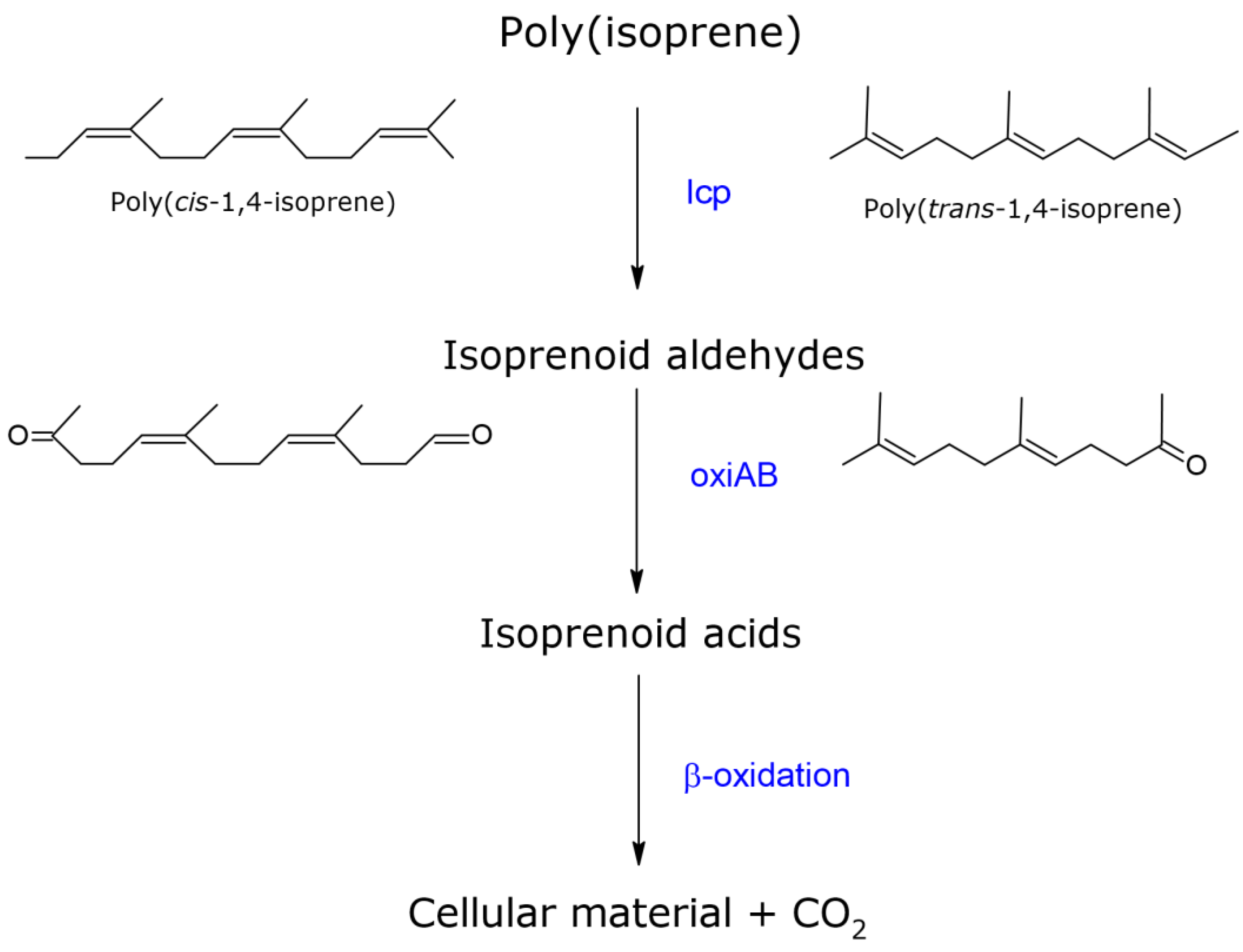 Polymers 13 02700 g001